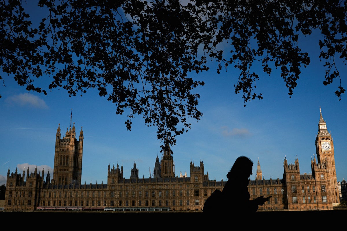 Former parliamentary staff member arrested under anti-hacking laws – UK Times Former parliamentary staff member arrested under anti-hacking laws – UK Times