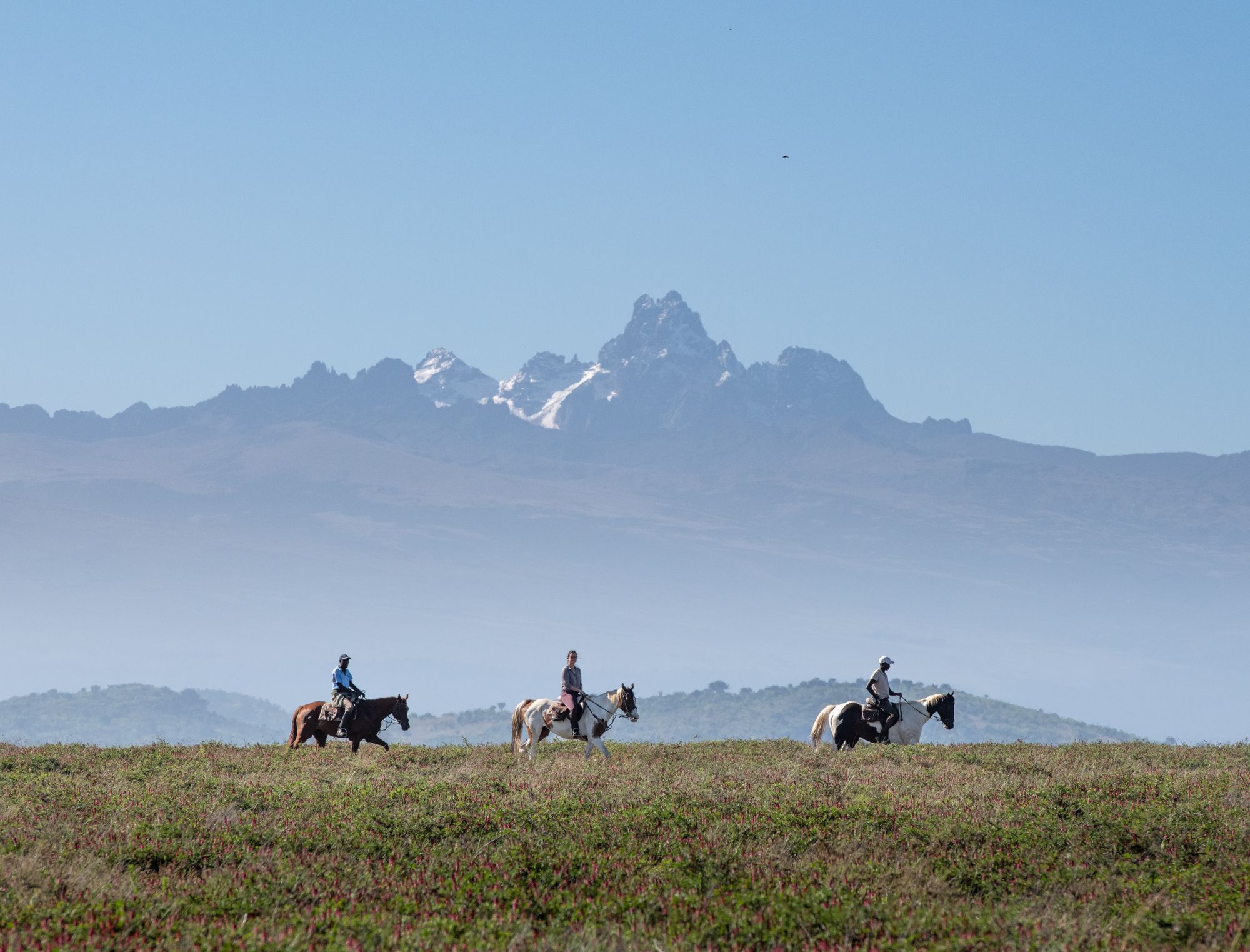 The safari that taught me to step out of the Land Rover
