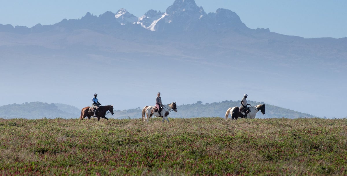 The safari that taught me to step out of the Land Rover