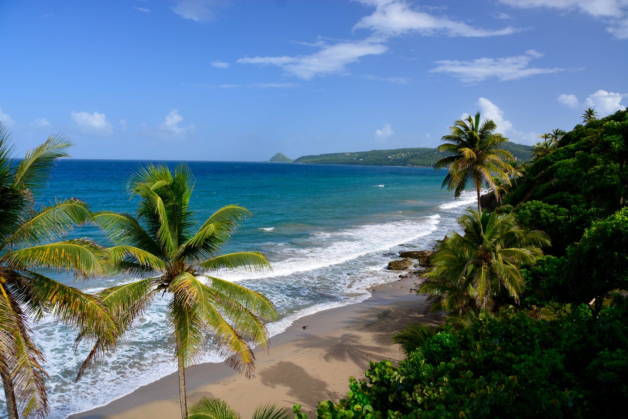 Sophie stayed on Grand Anse beach near Grenada's capital