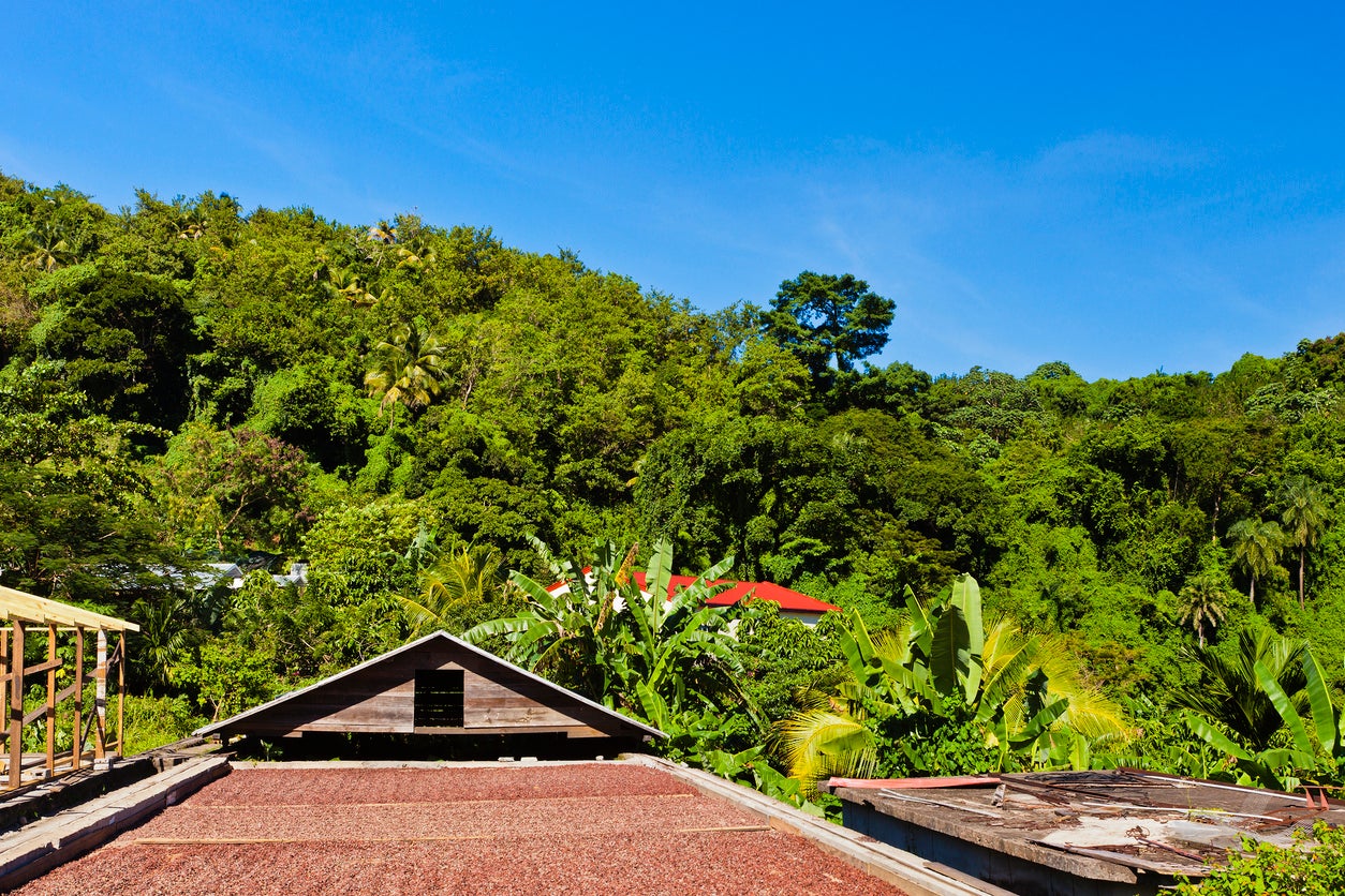 The Belmont Estate, a historic plantation dating back to the late 1600s