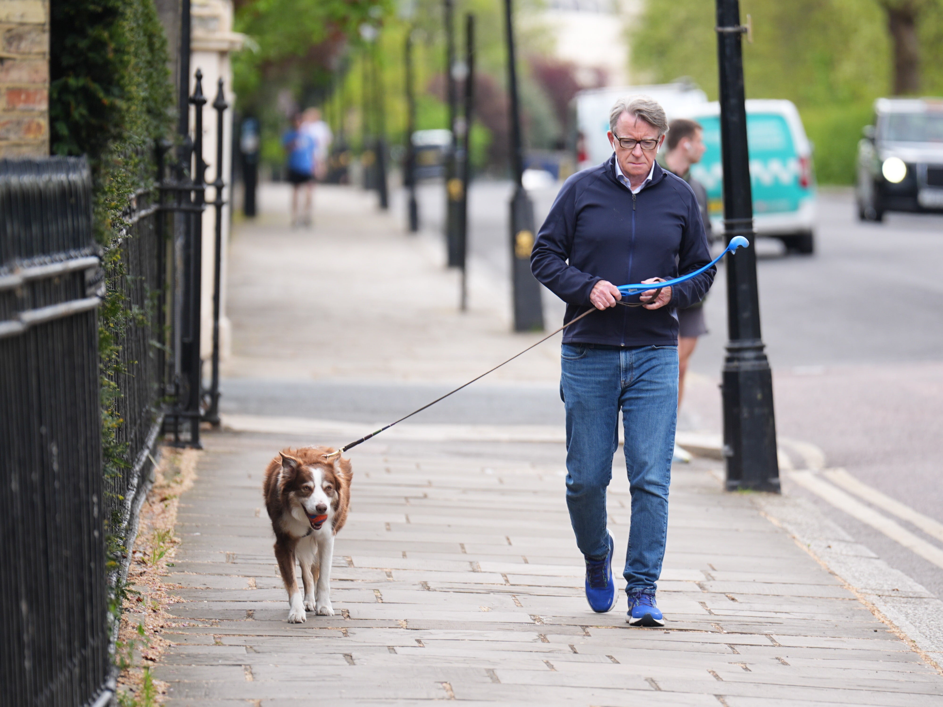 Lord Peter Mandelson taking his dog for a walk near his home on Monday