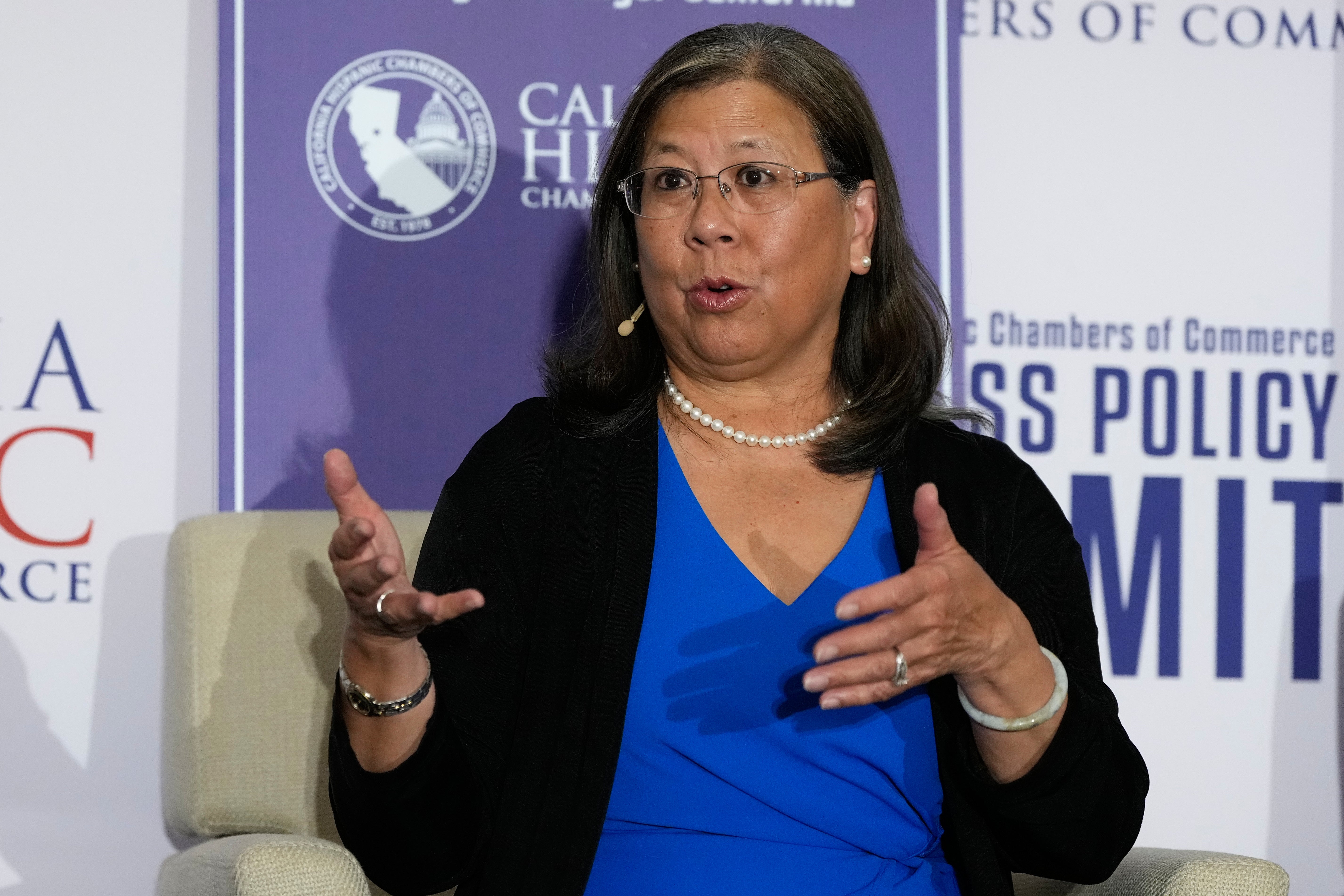 Election 2026 California Governor