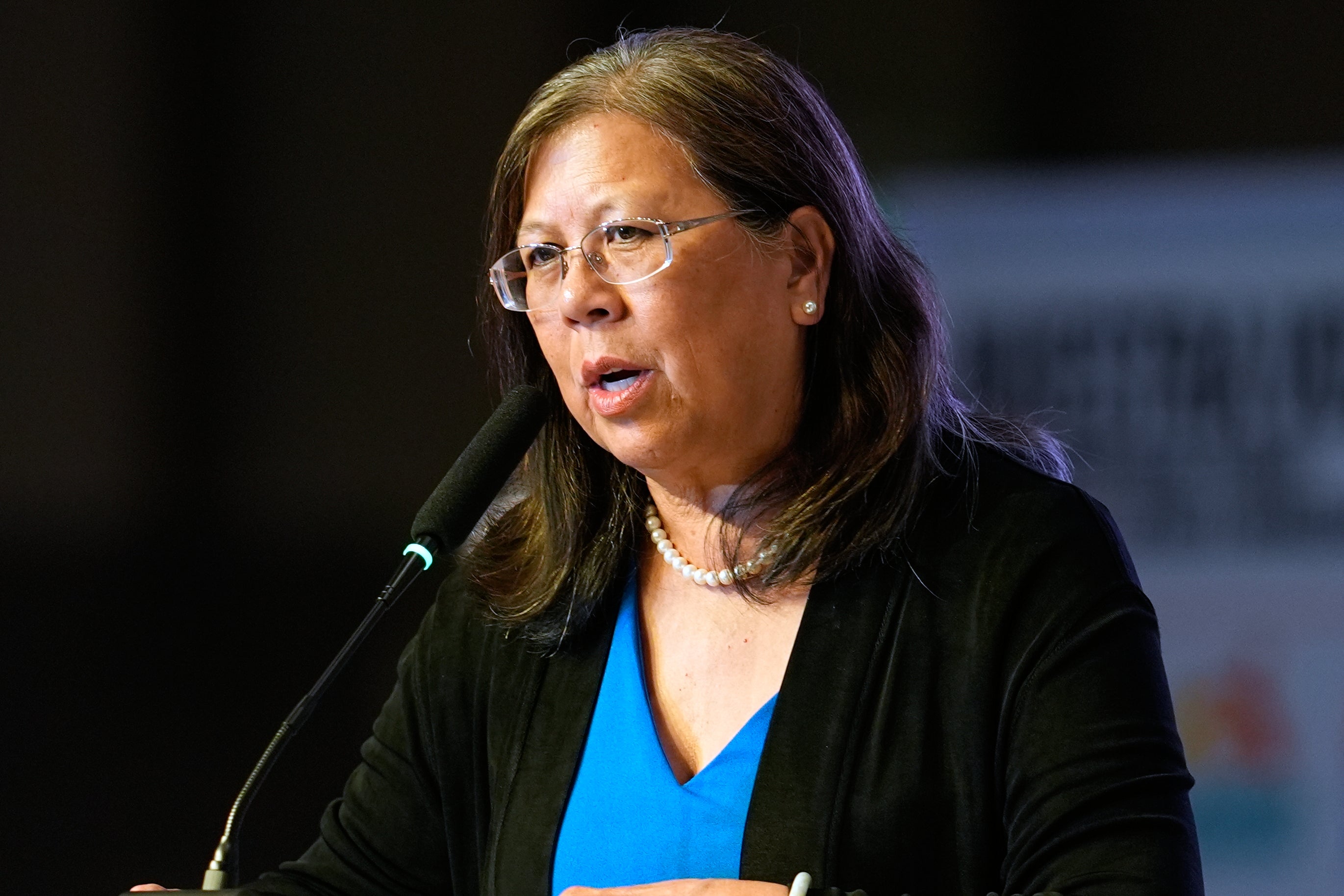 Election 2026 California Governor