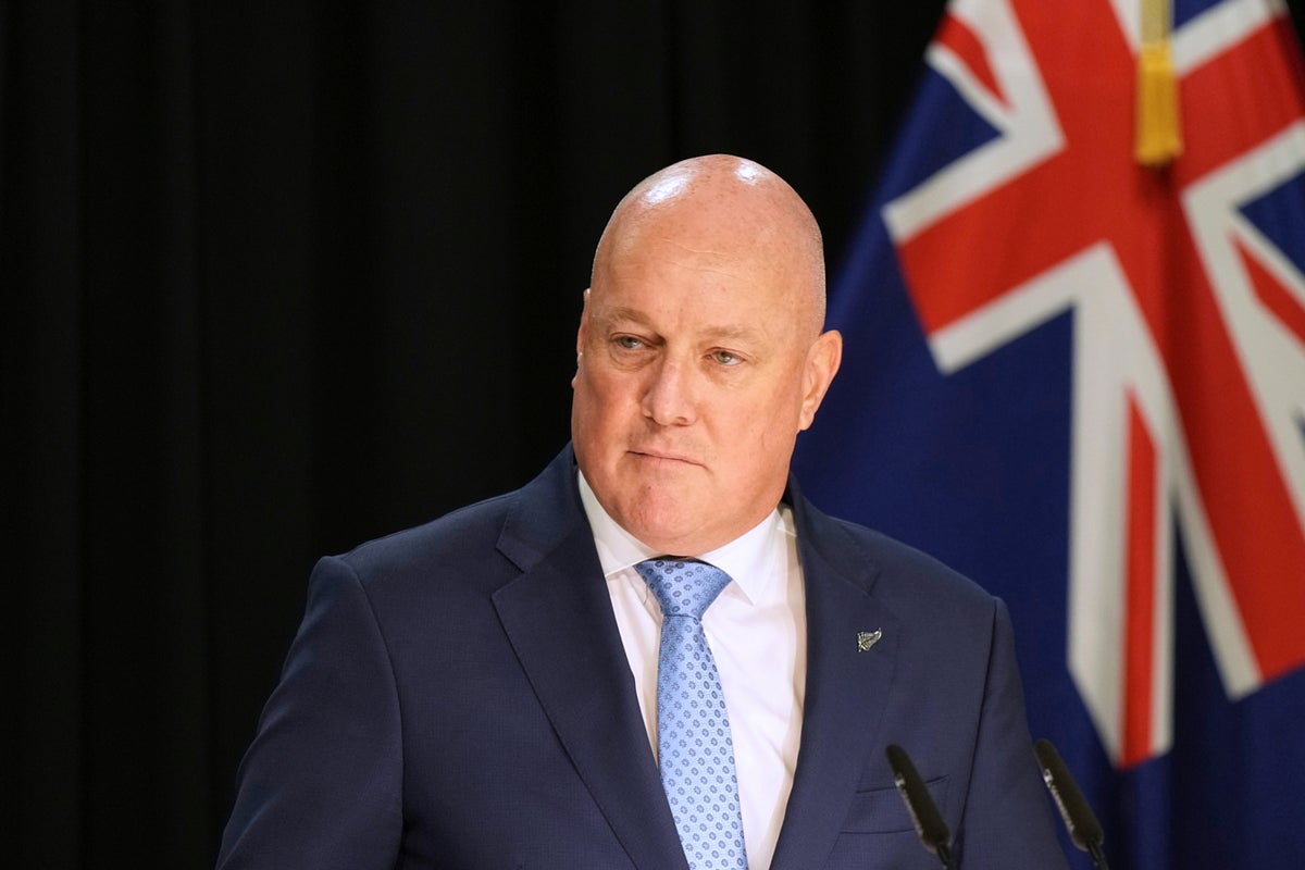 New Zealand Prime Minister Luxon survives party leadership vote months before election – UK Times