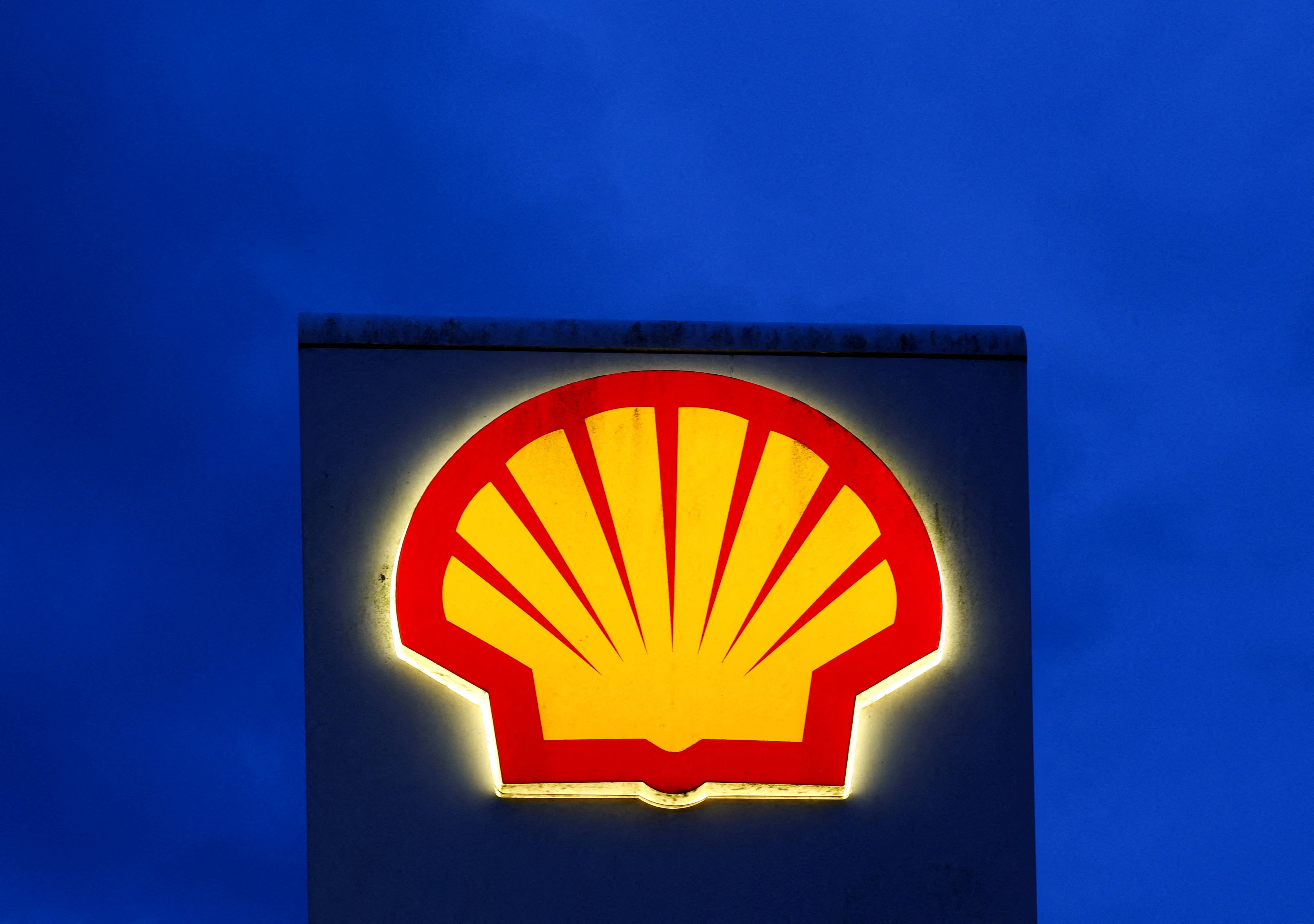 independent.co.uk - Bart H. Meijer - Shell faces new court case over oil and gas investments