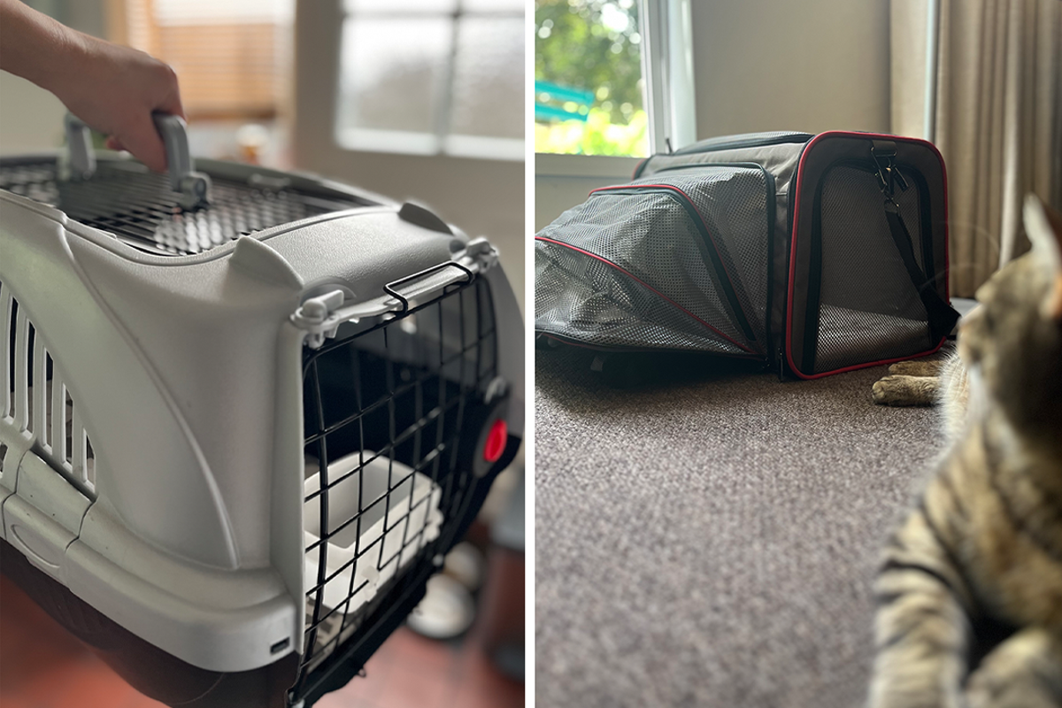 Best cat carriers 2026, reviewed by pet owners – UK Times Best cat carriers 2026, reviewed by pet owners – UK Times