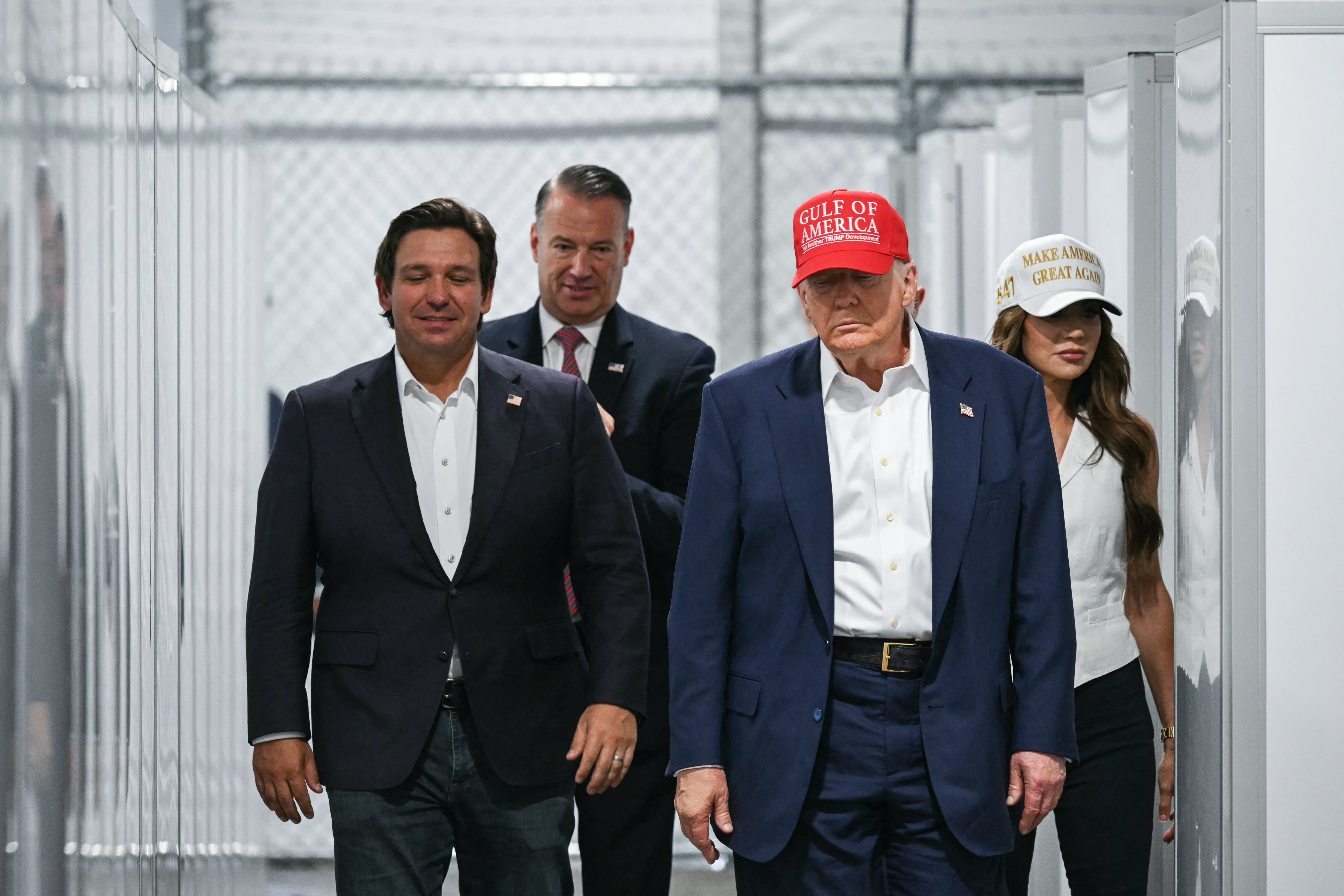 Trump once told reporters he would ‘certainly’ consider adding DeSantis to his administration once the Florida governor’s term is up in January
