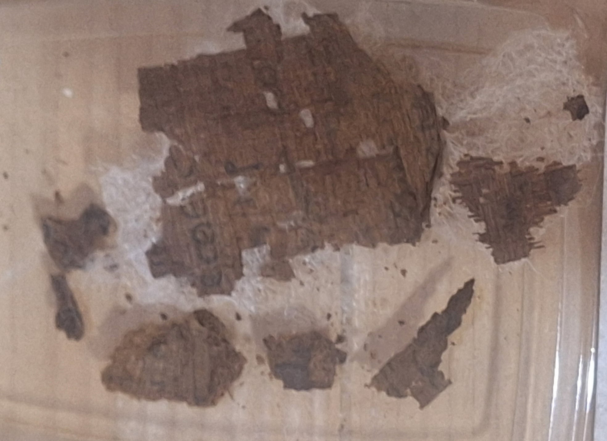 Archaeologists stunned to find copy of Homer’s Iliad inside ancient Egyptian mummy