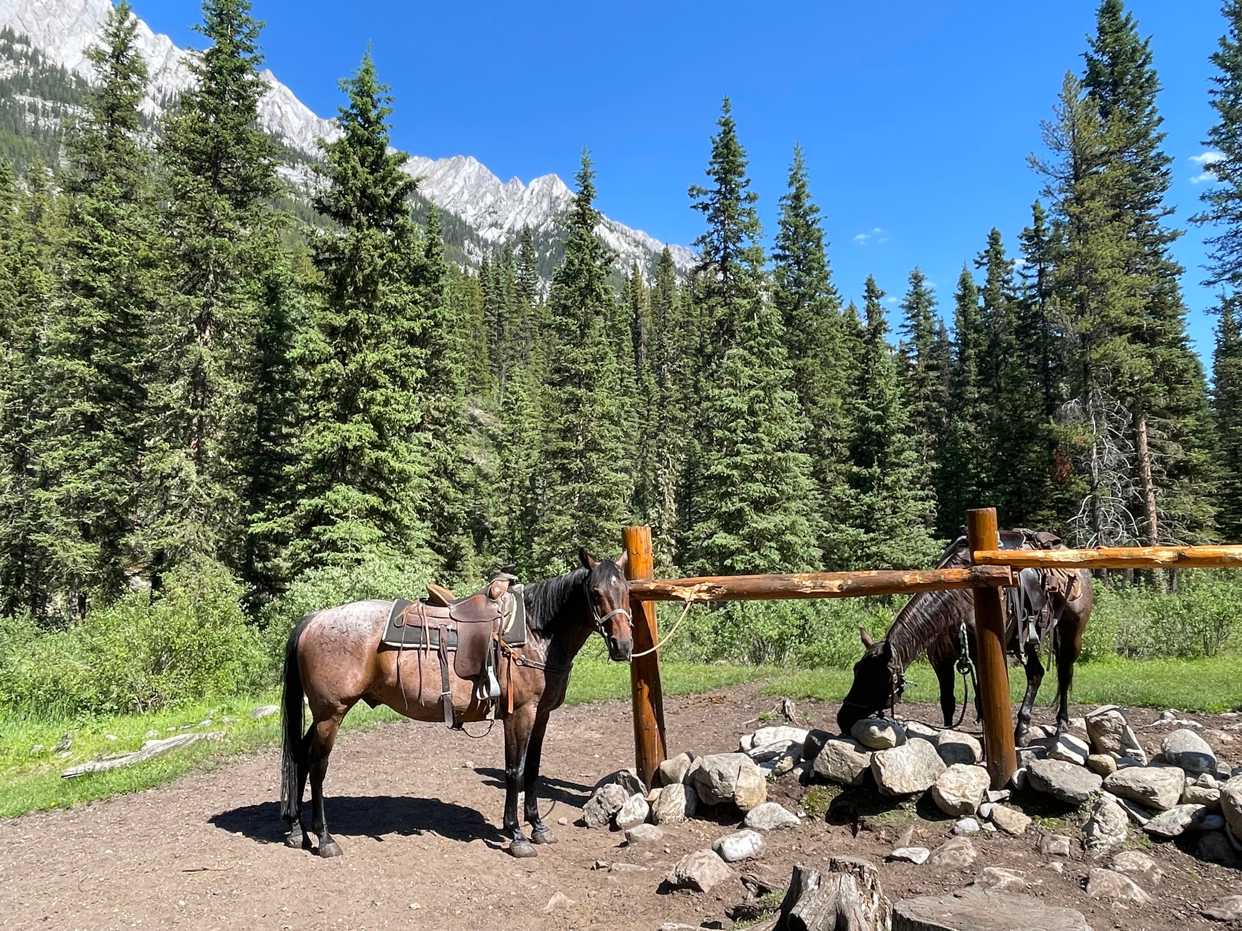 Banff National Park in the Canadian Rockies is a vast wilderness with much of the backcountry only accessible on foot or by horseback