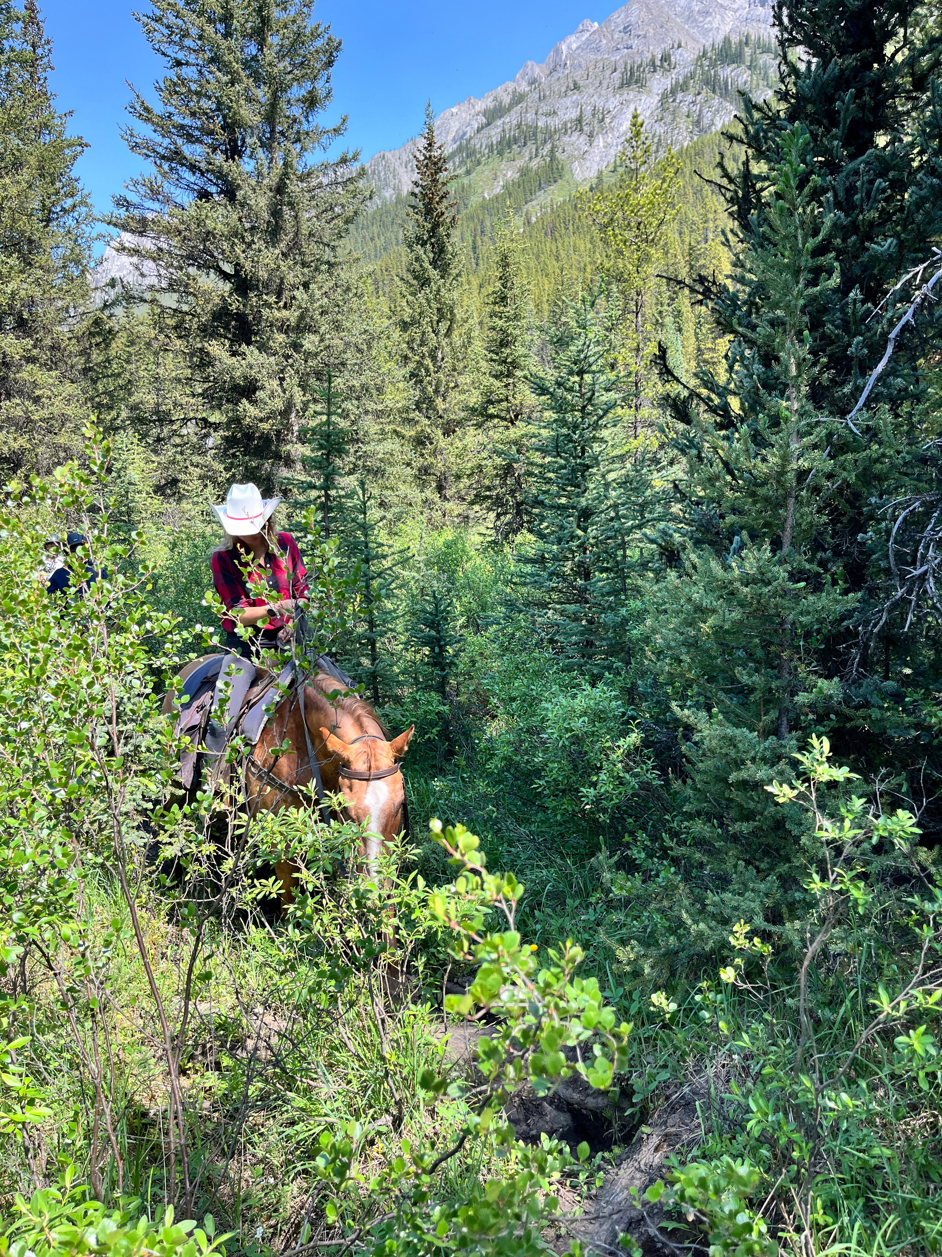 The ride is designed to take visitors into places they would not normally be able to reach