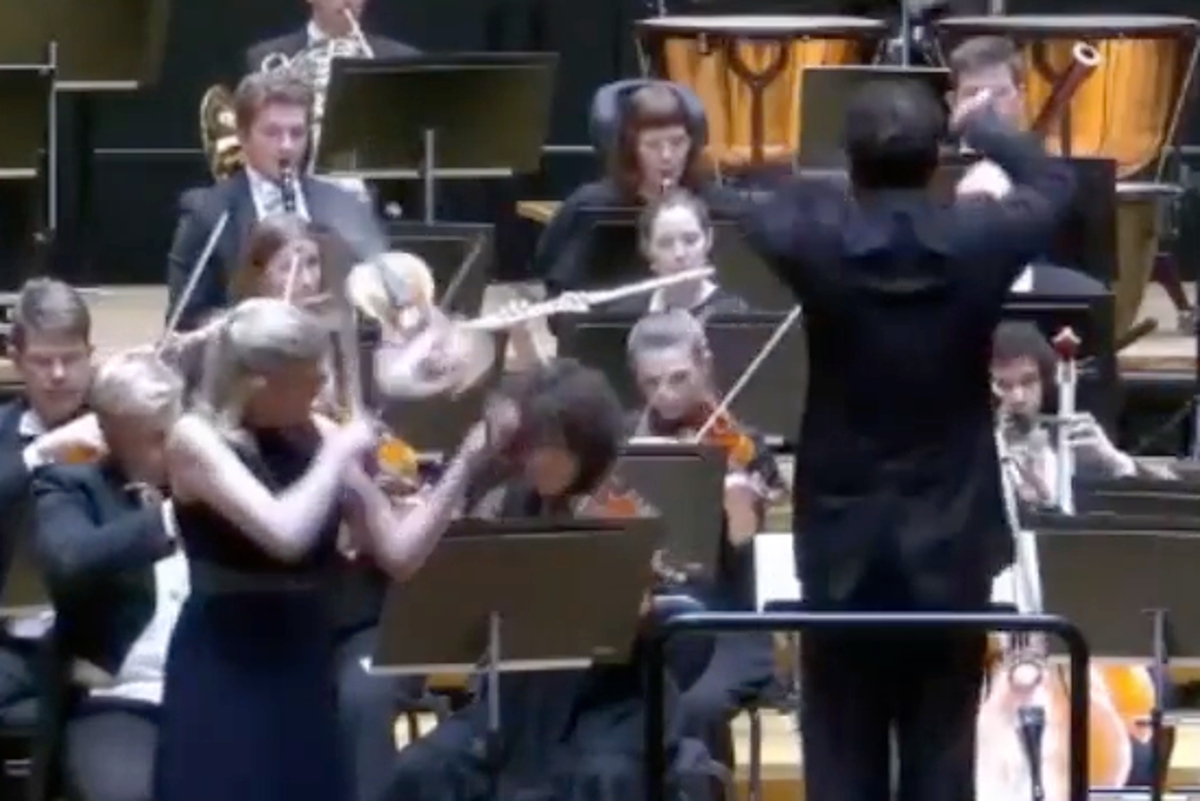 Conductor knocks £1m violin out of musician’s hands mid-performance