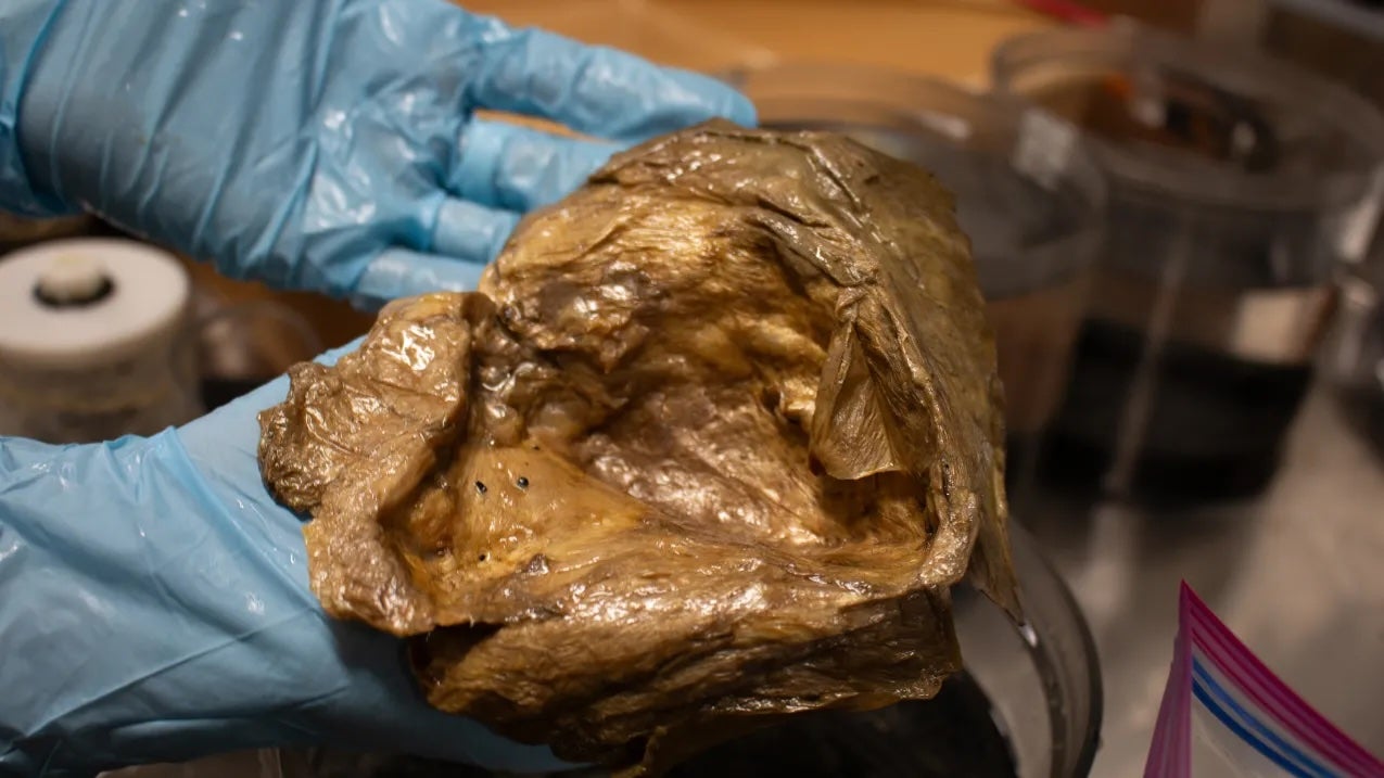 Scientists discovered a mysterious ‘golden orb.’ Now they’ve worked out what it is