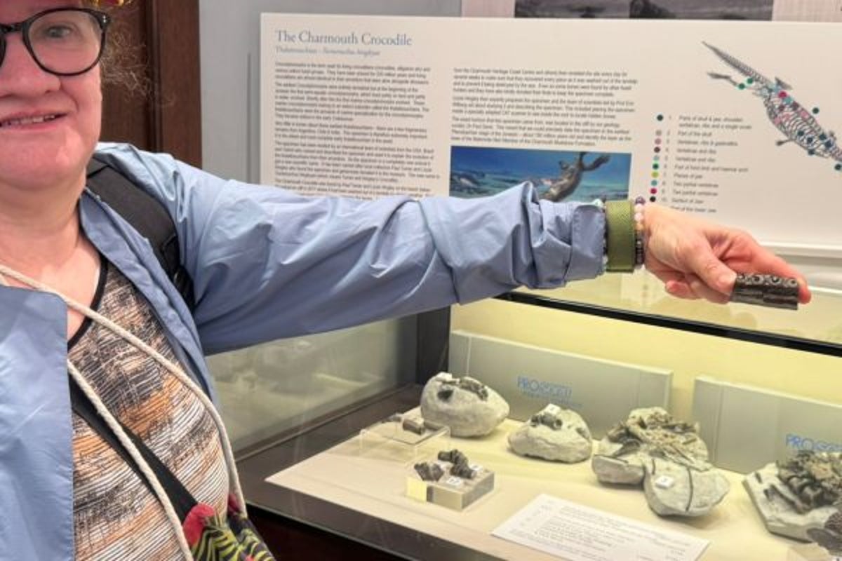 Amateur fossil hunter uncovers rare chunk of world’s oldest sea crocodile