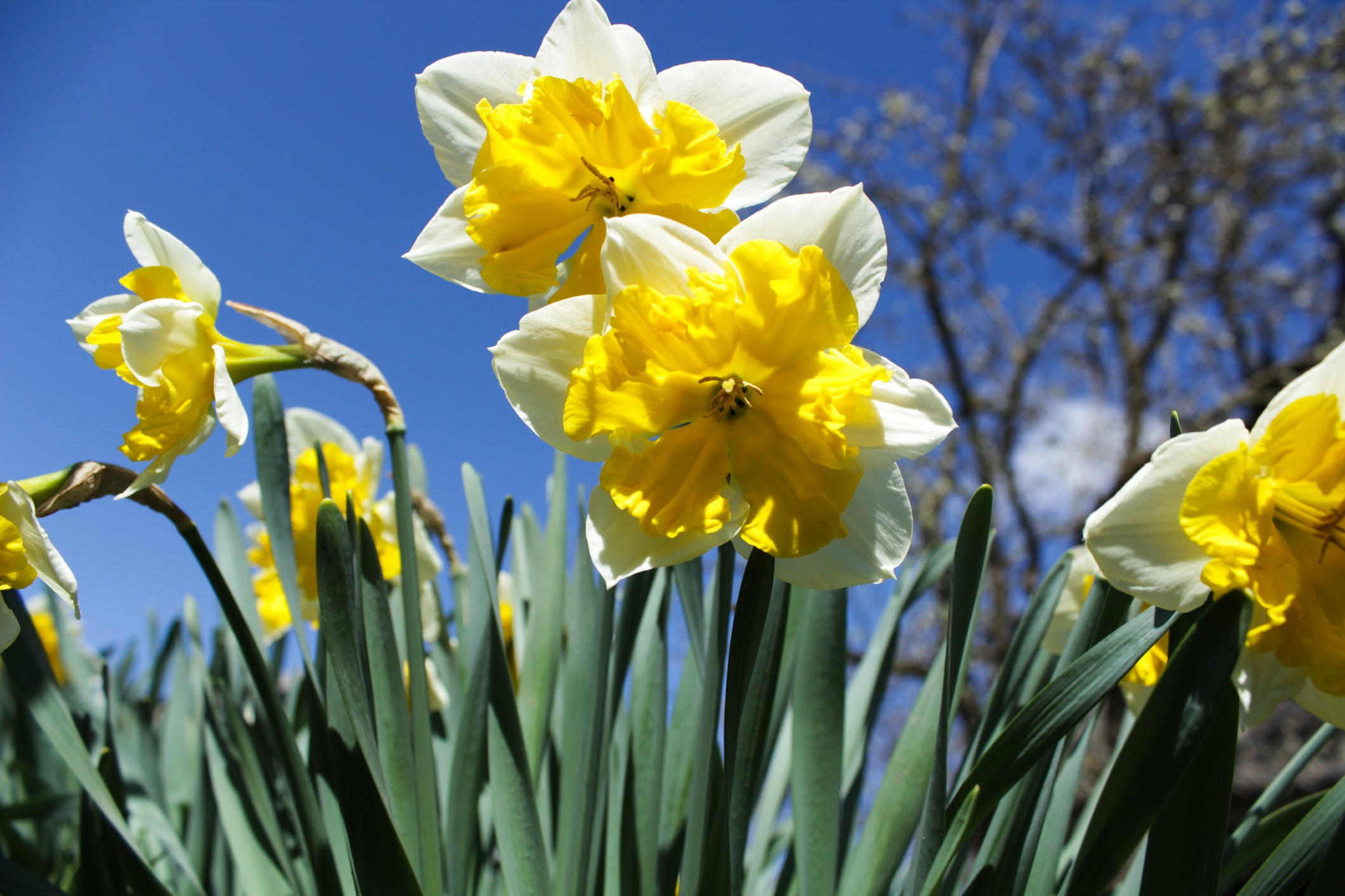 UK weather: Britain set to bask in 23C heat this weekend