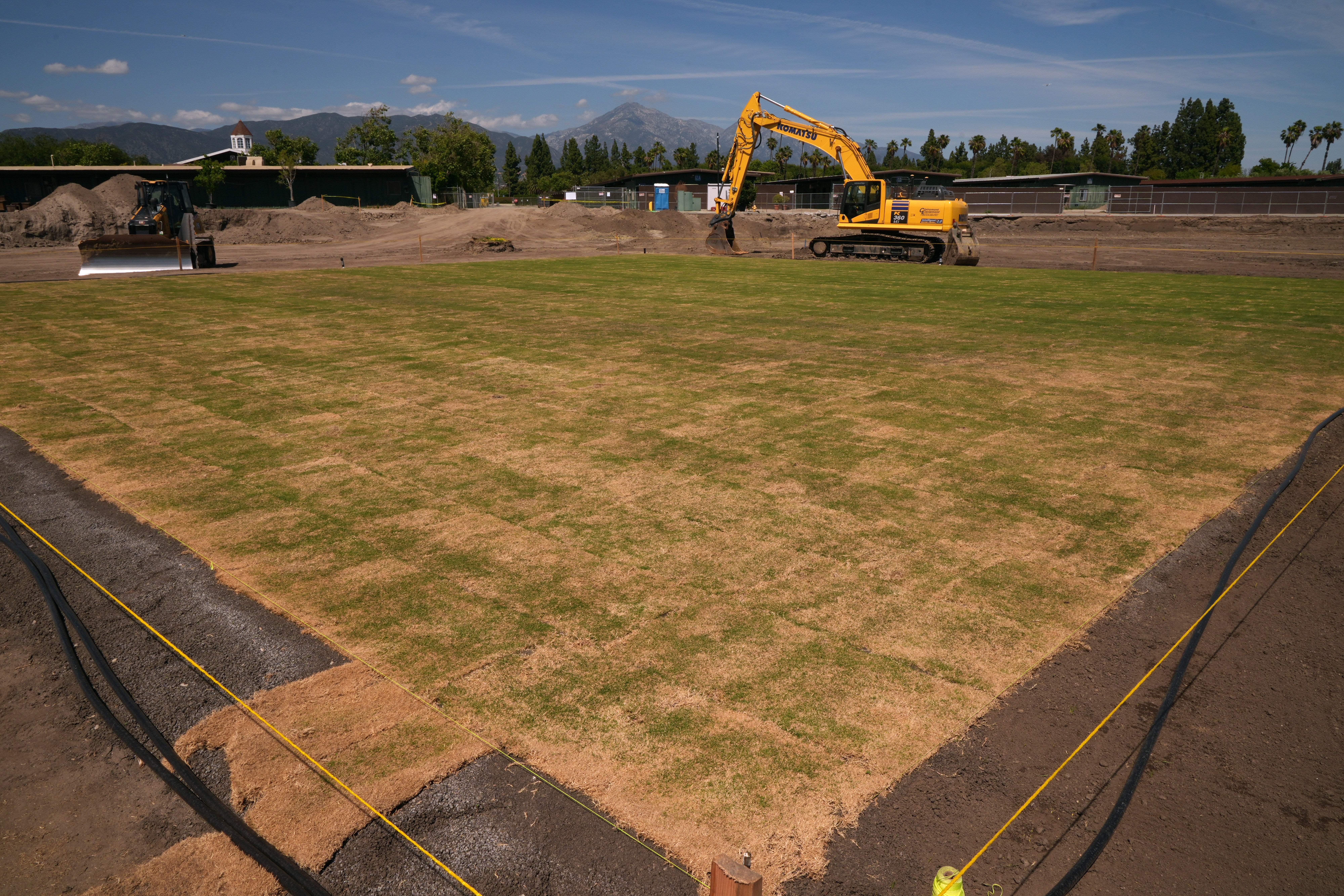 New fresh grass is grown for a world-class cricket pitch at the Pomona Fairplex