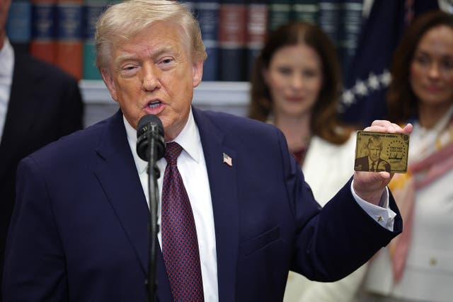 <p>El gobierno de Donald Trump anticipó grandes ingresos con la visa “gold card”, pero desde diciembre de 2025 solo se aprobó un caso</p>