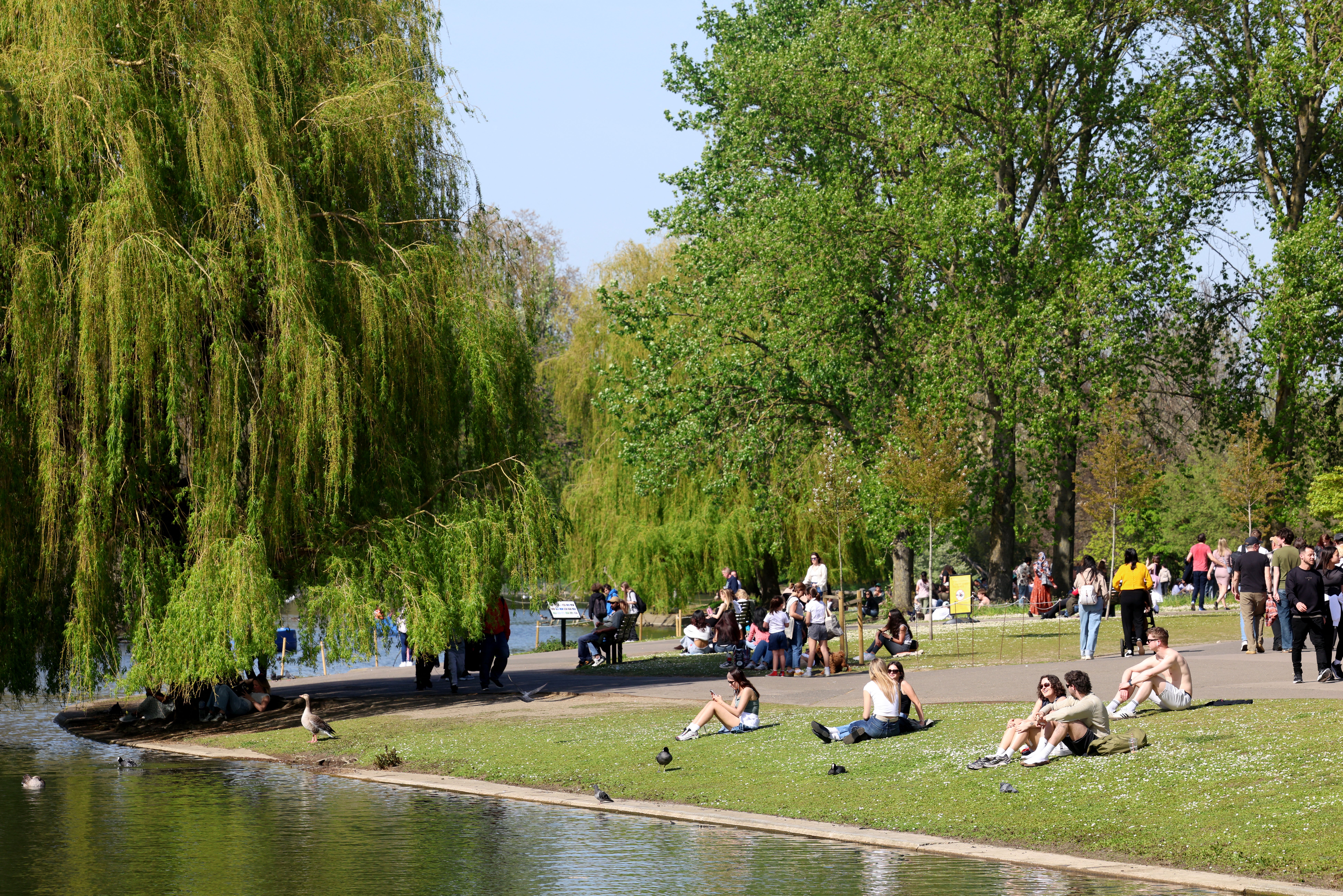 The HTA, RHS and Woodland Trust have made their call amid a summer in which the UK has already sweltered in two record-breaking heatwaves, with new all-time high temperatures set for May, of 35.1C, and then again for June, when they reached 37.7C (AFP/Getty)