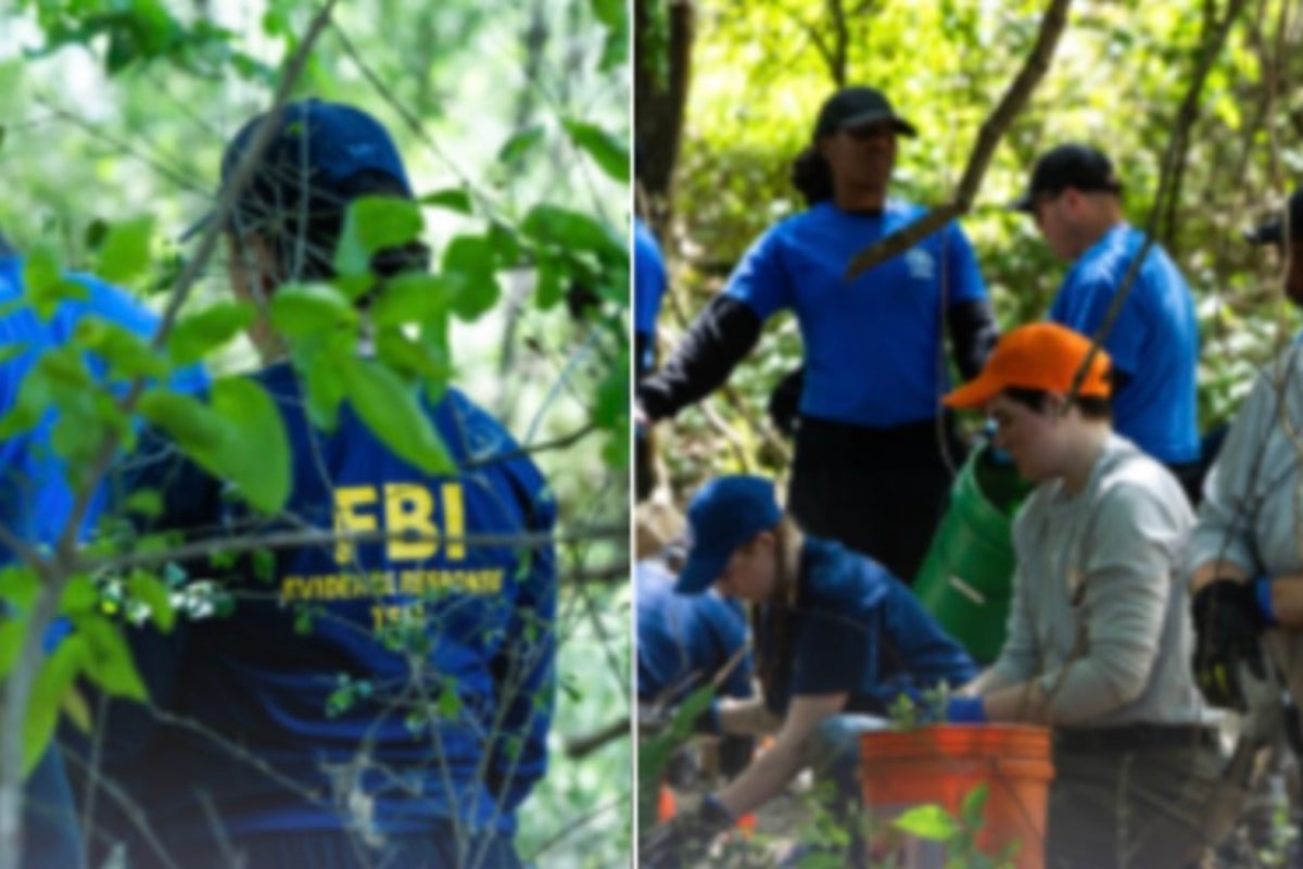 Remains of three kids found in wooded Memphis area had been there for years: police