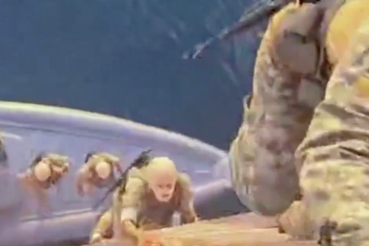 Video claims to show Iranian soldiers seizing container ships in Strait of Hormuz