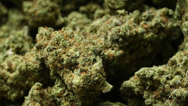 Trump Marijuana Reclassification