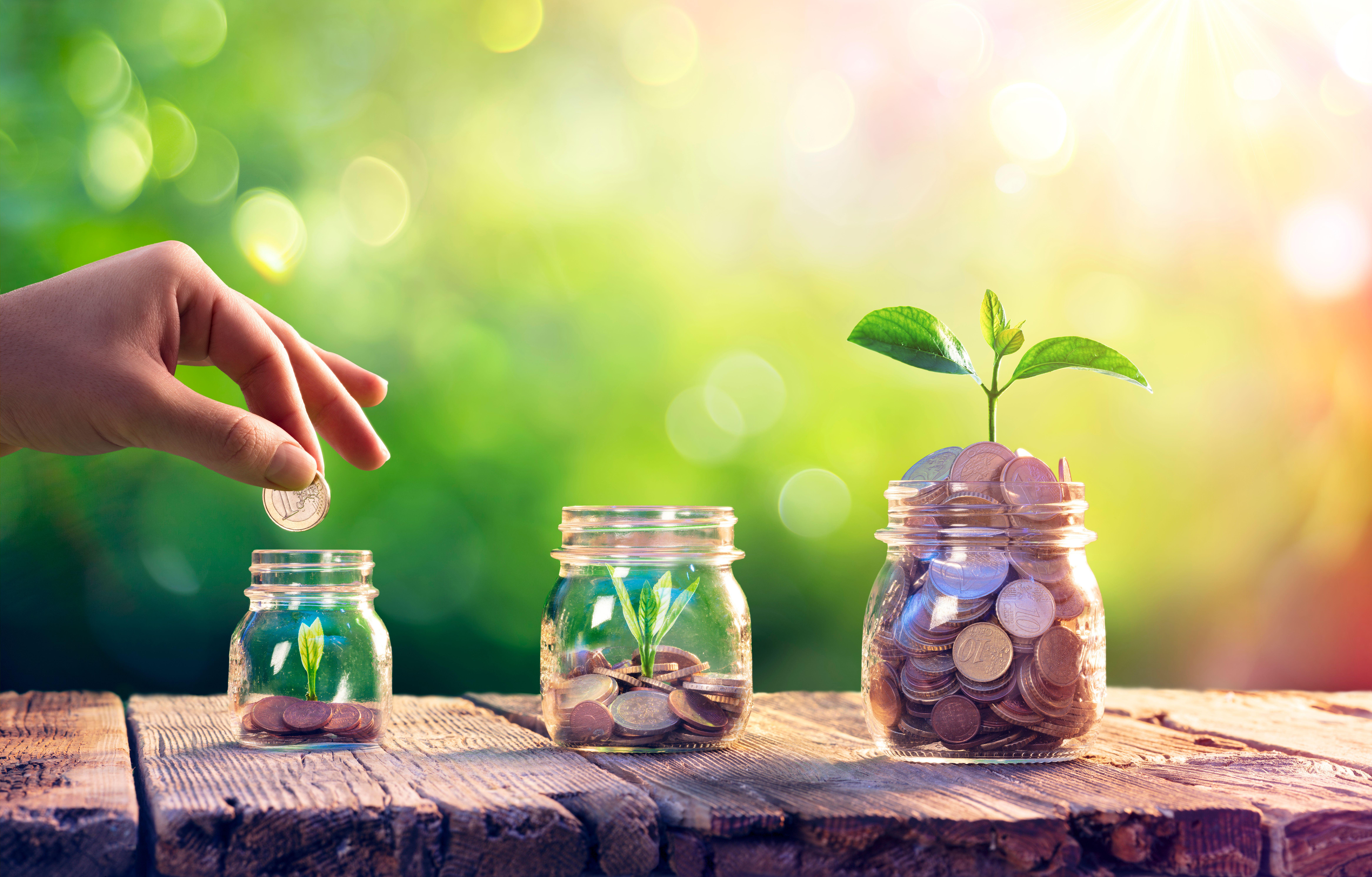 Savings should earn interest in your account