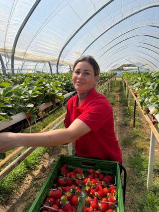 The news means retailers will have to rely less on Spanish and Moroccan imports in the next few weeks