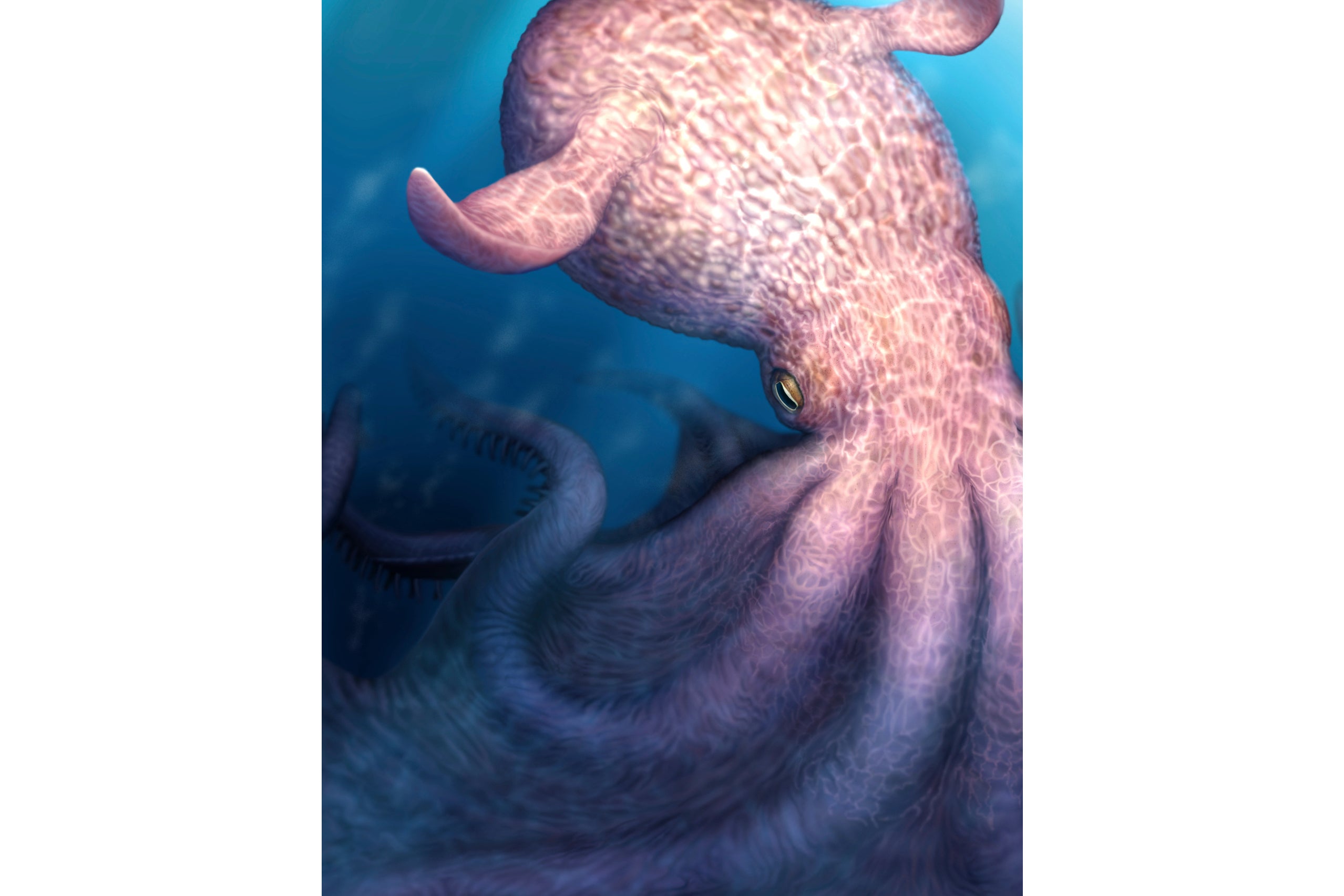 This illustration provided by researchers in April 2026 depicts a giant octopus that may have been a top marine predator millions of years ago