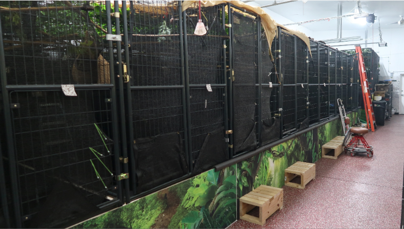 The FWC's newly released report included photos of the sloth cages found in the warehouse