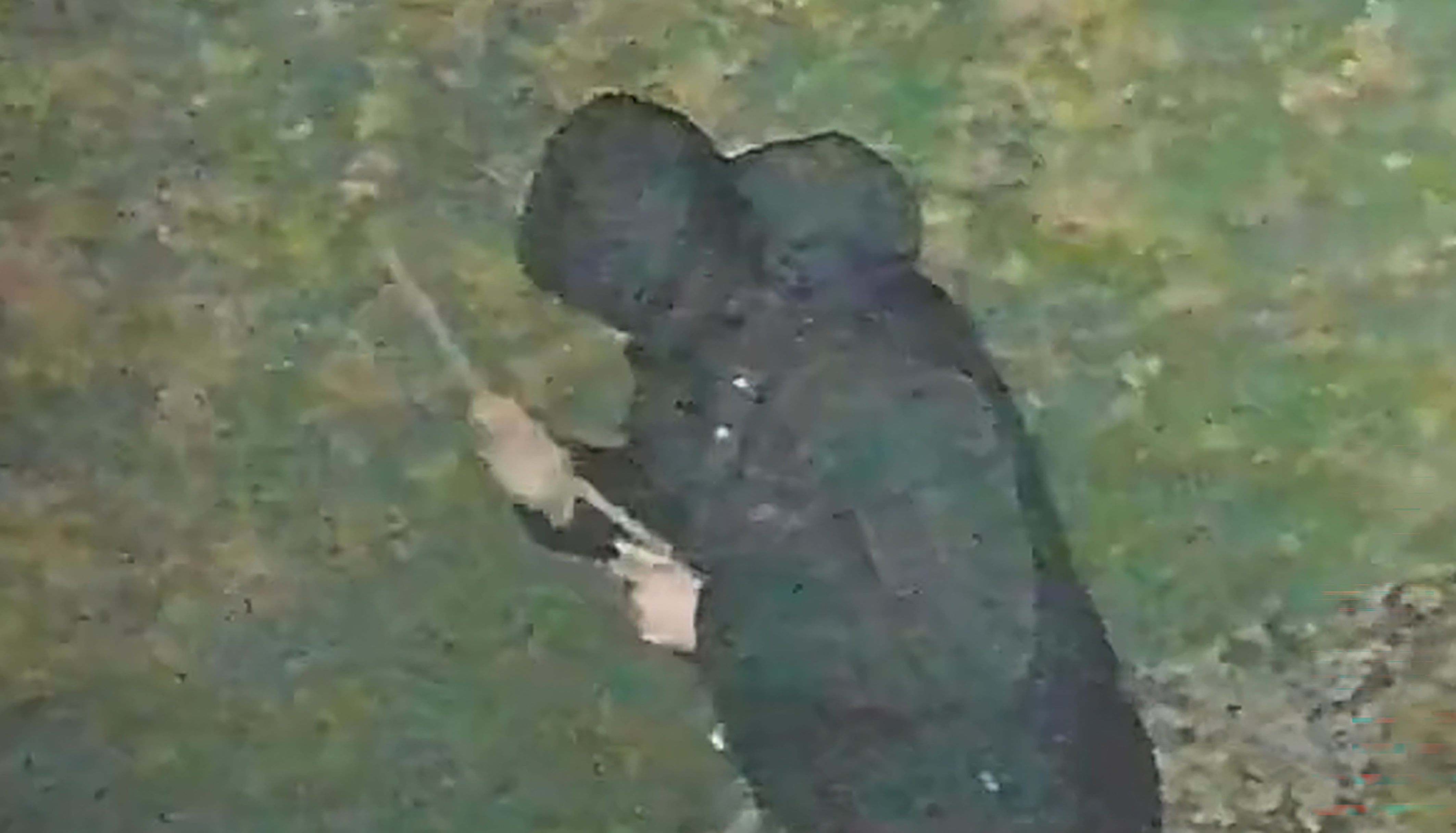 John Ashby armed himself with a stick before the attack (West Midlands Police/PA)