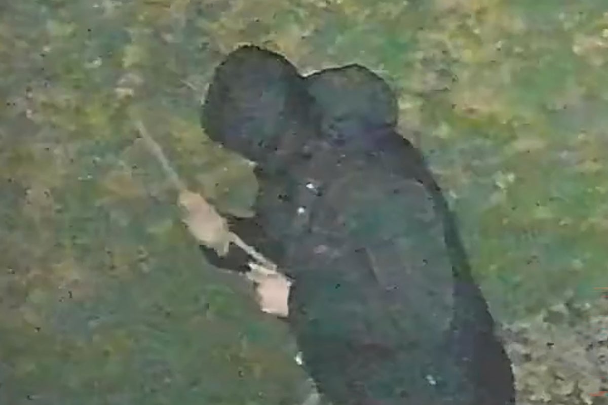 Man jailed for religiously aggravated rape of Sikh woman after he followed her home