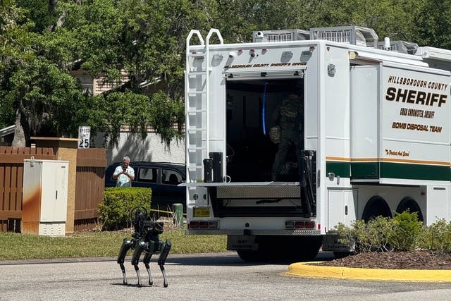 FLORIDA-UNIVERSITARIOS DESPARECIDOS