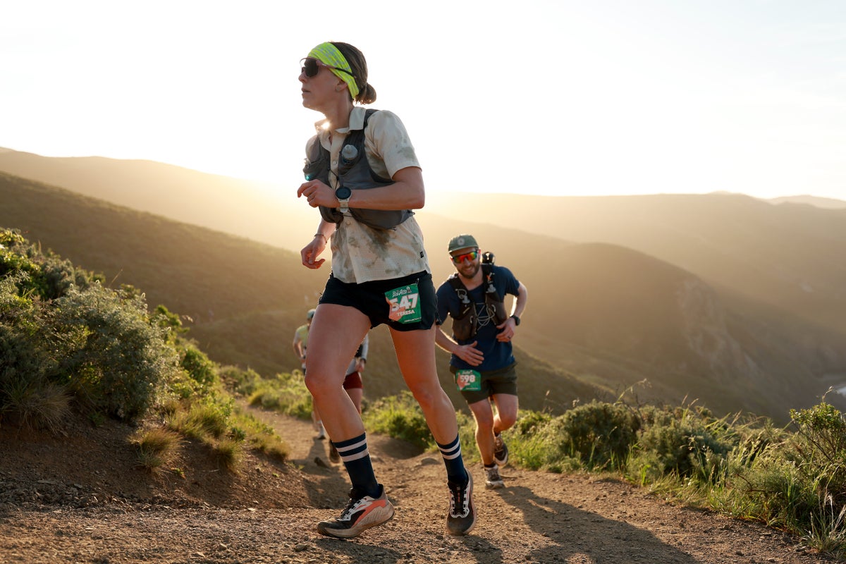 Researchers say three supplements could help boost your summer workout – UK Times Researchers say three supplements could help boost your summer workout – UK Times