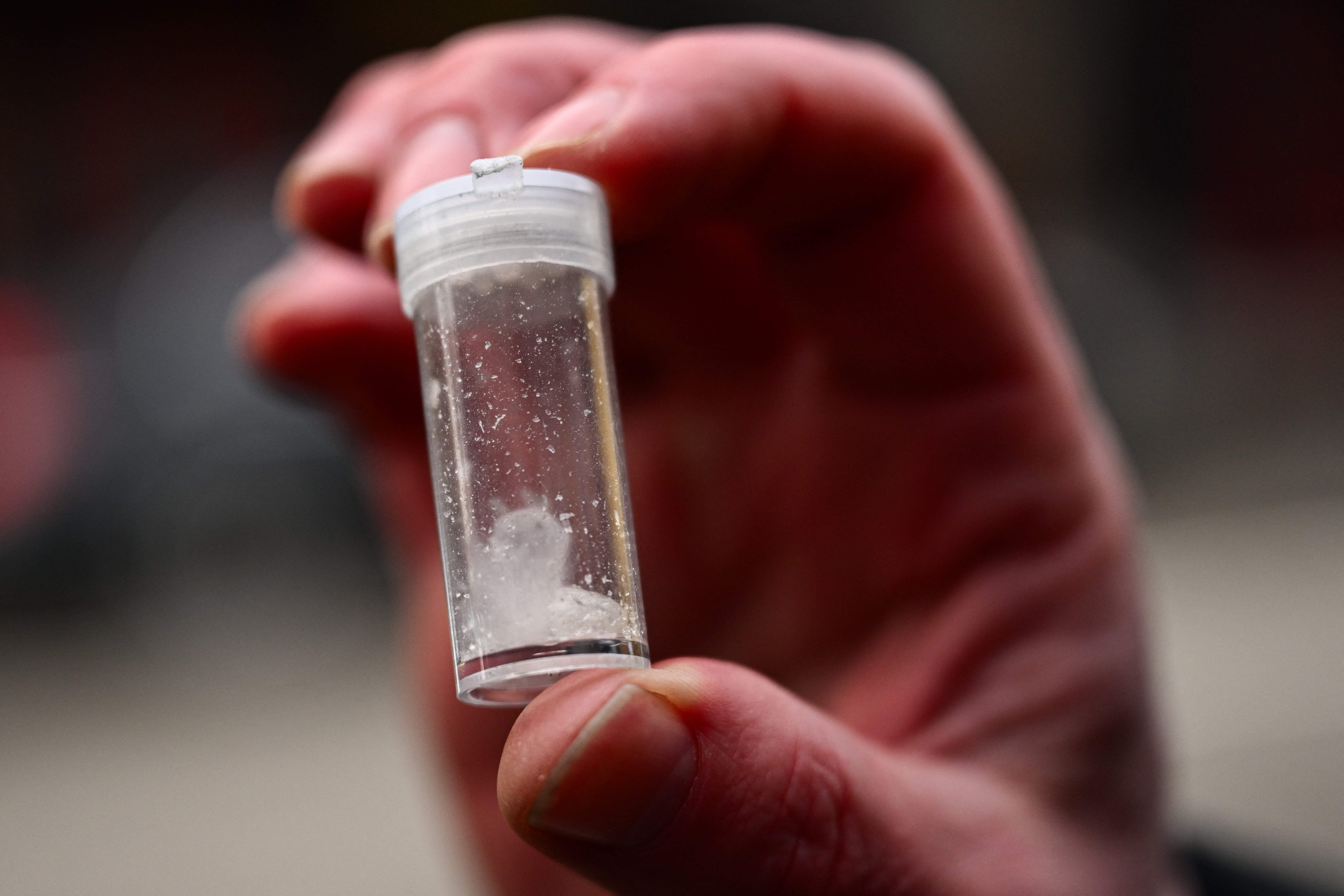 The dog, Uni, fell sick soon after sniffing around a local park and later tested positive for methamphetamine