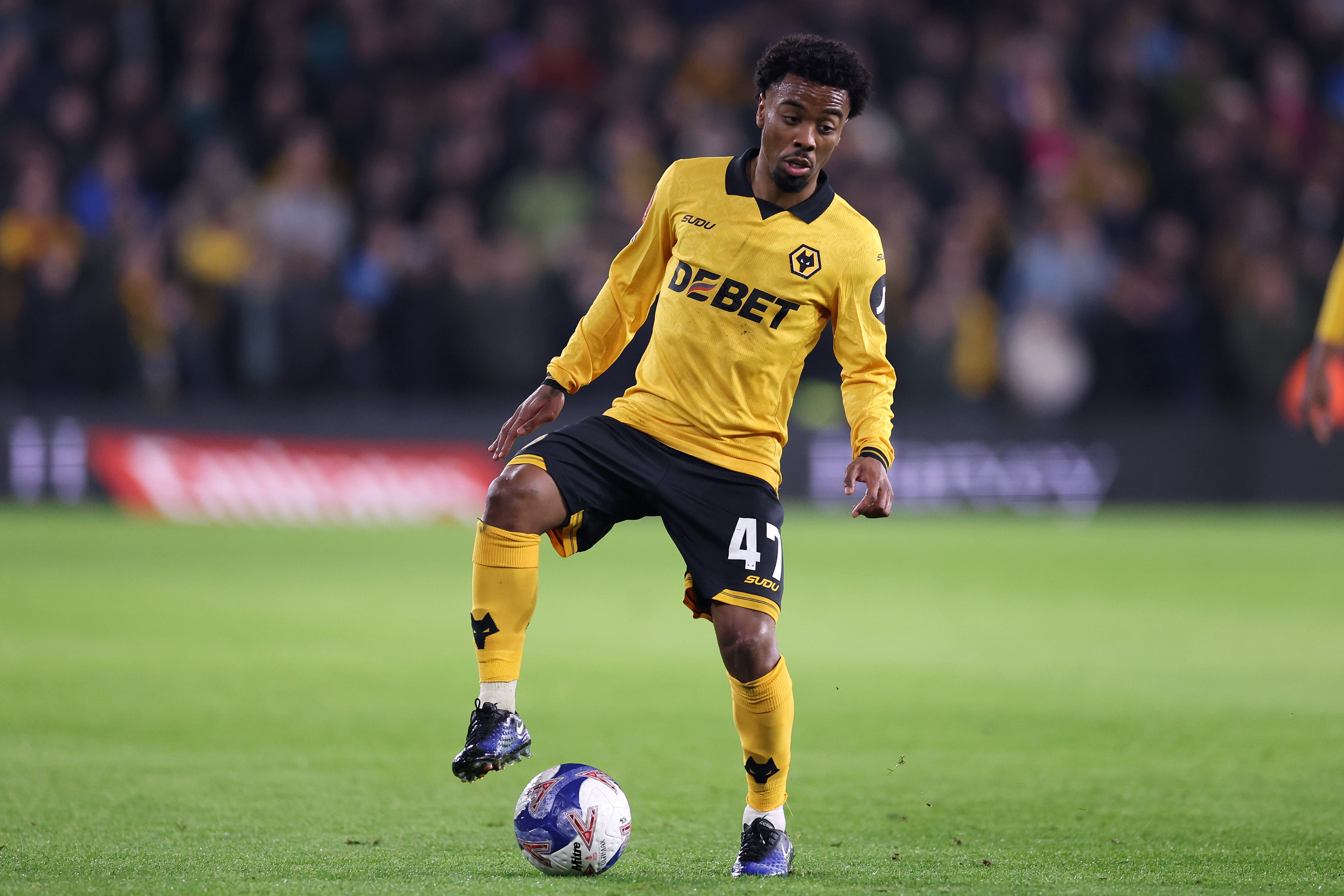 Angel Gomes should be fit to start for Wolves