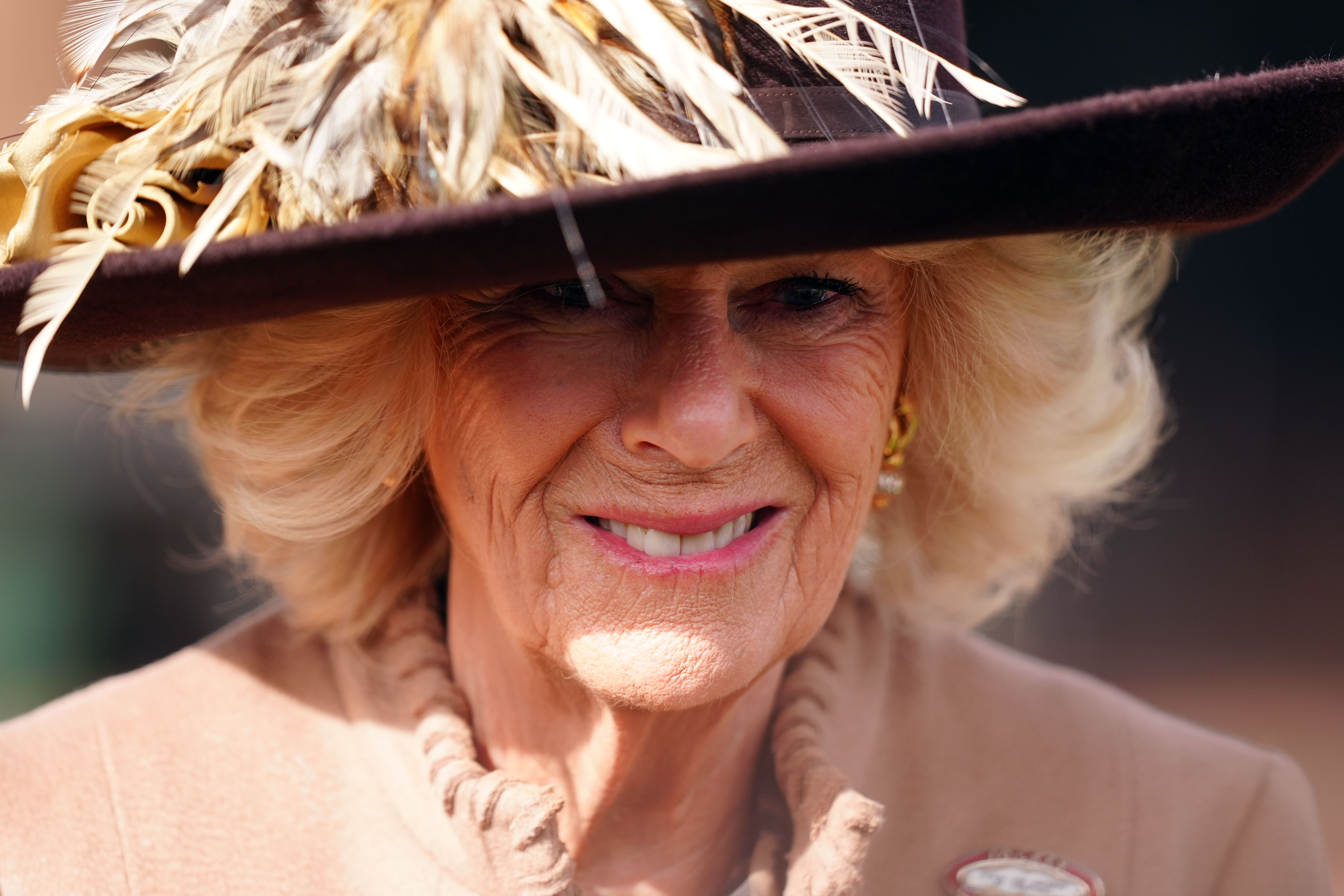 Queen to give replacement Roo to complete US library's Winnie-the-Pooh toy  set