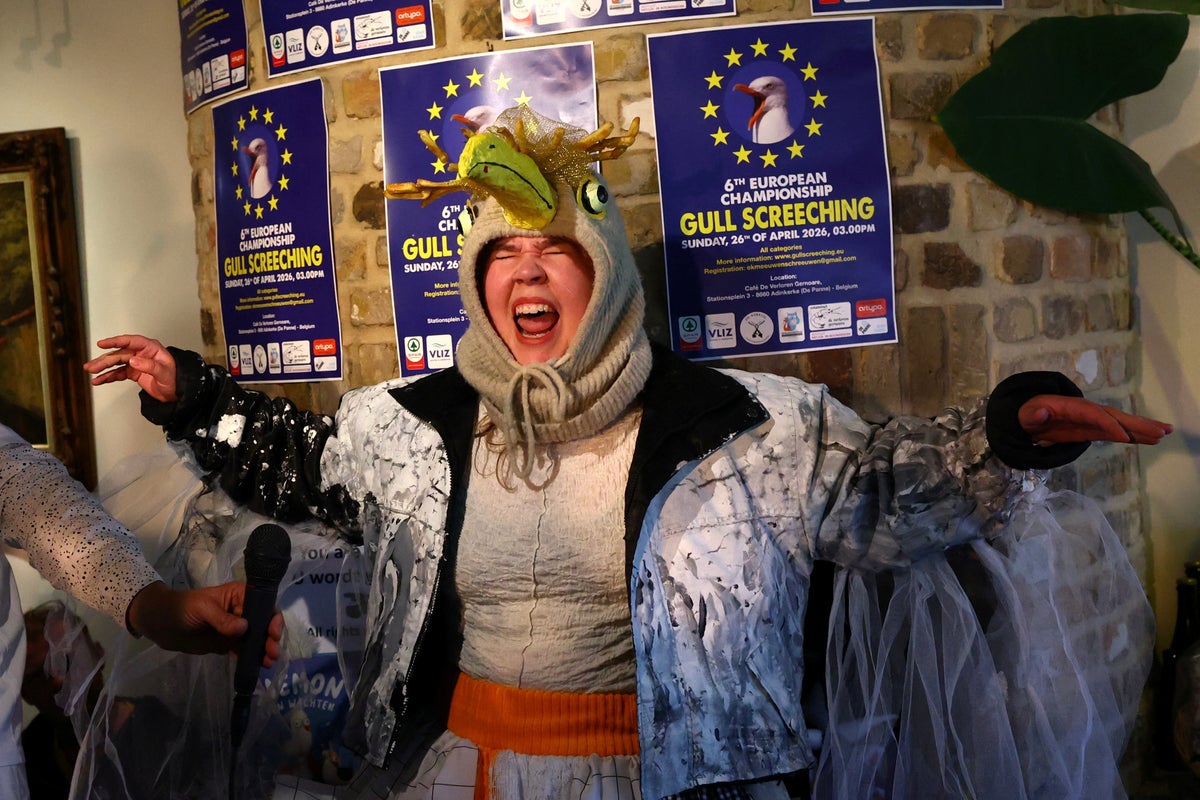Flocks gather at Seagull Screeching Championship as Europe’s weirdest contest returns