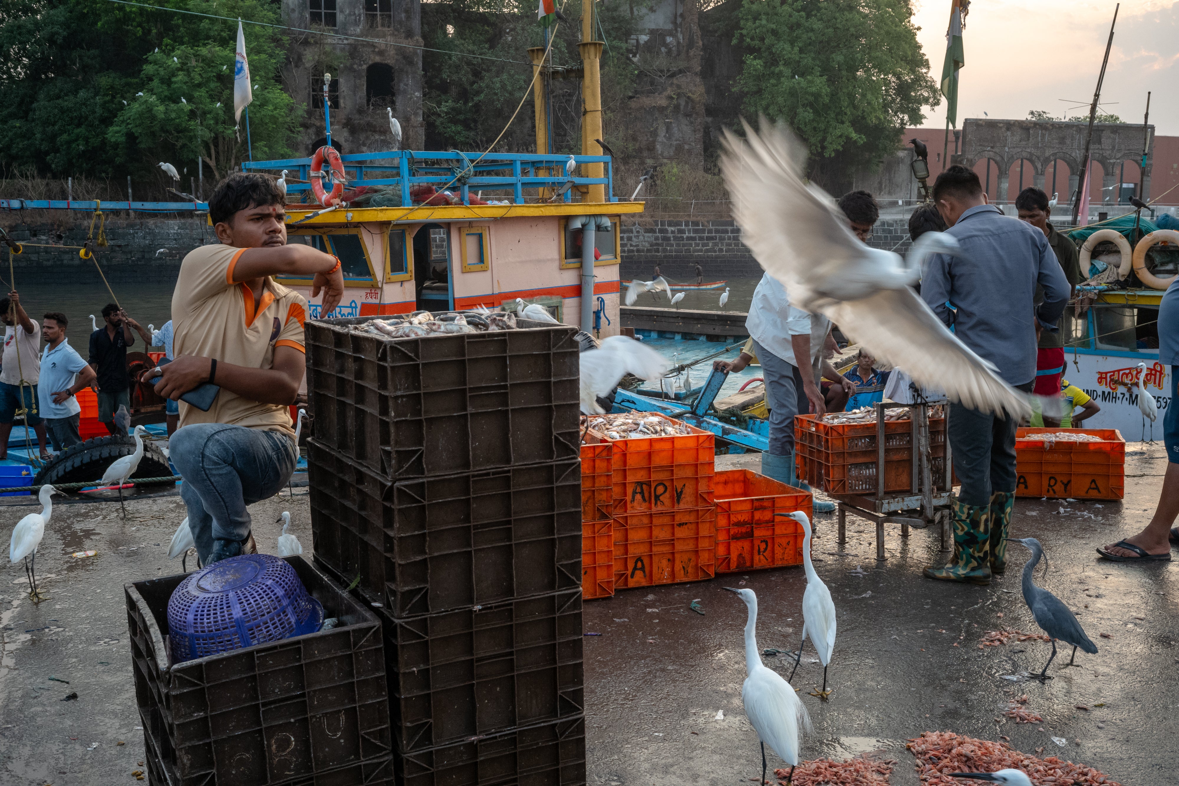 Governments had promoted cleaner fuels like LPG for health and conservation reasons, but rising costs are undermining those gains