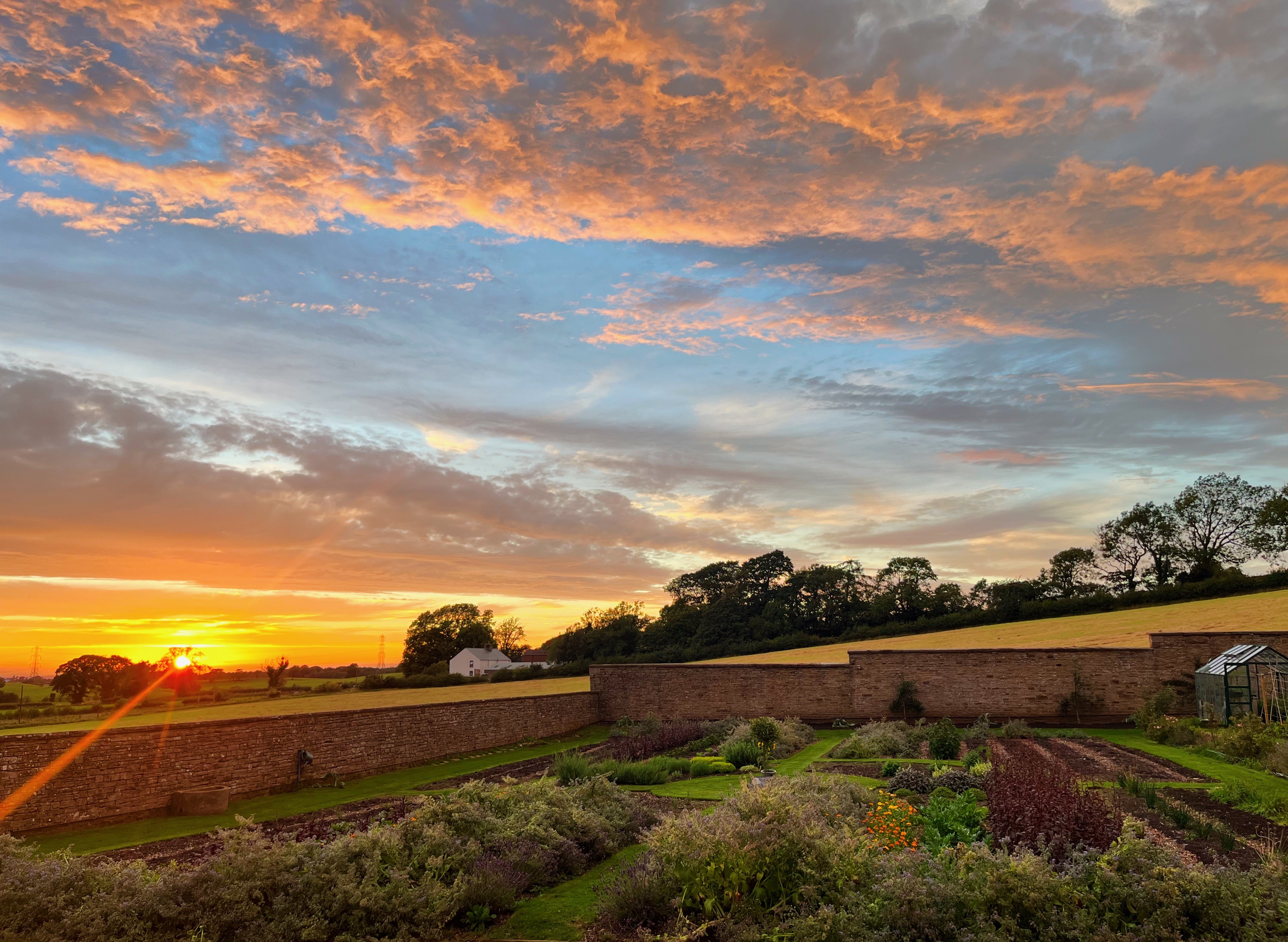 Sunset over the kitchen garden