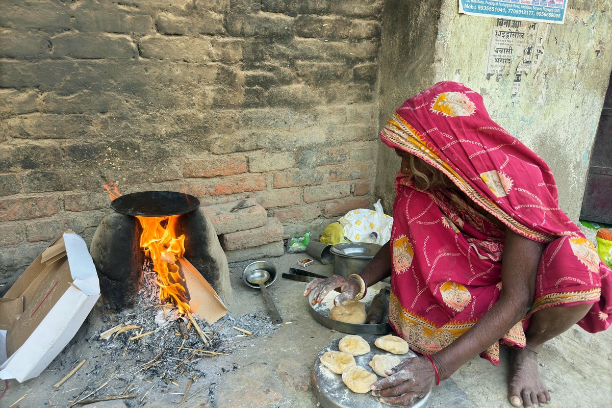 Soaring energy costs threaten wildlife as families turn to charcoal