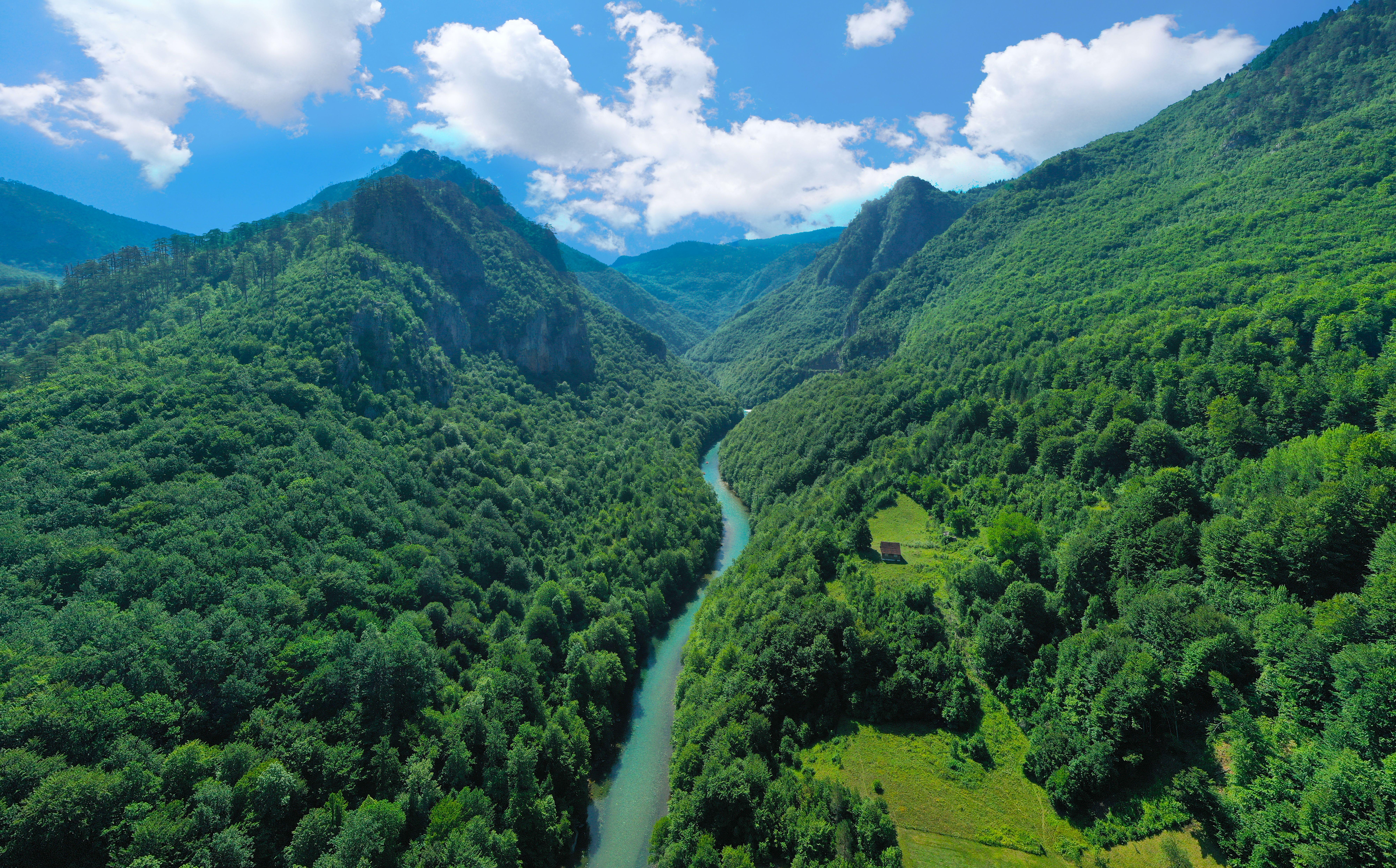 Tara river in the mountains of Montenegro