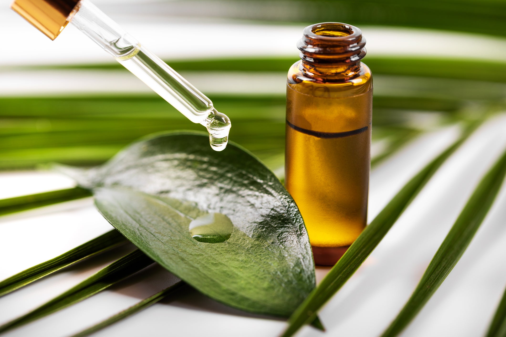 Tea tree oil has been used as an antiseptic since it became commercially available in the 1930s