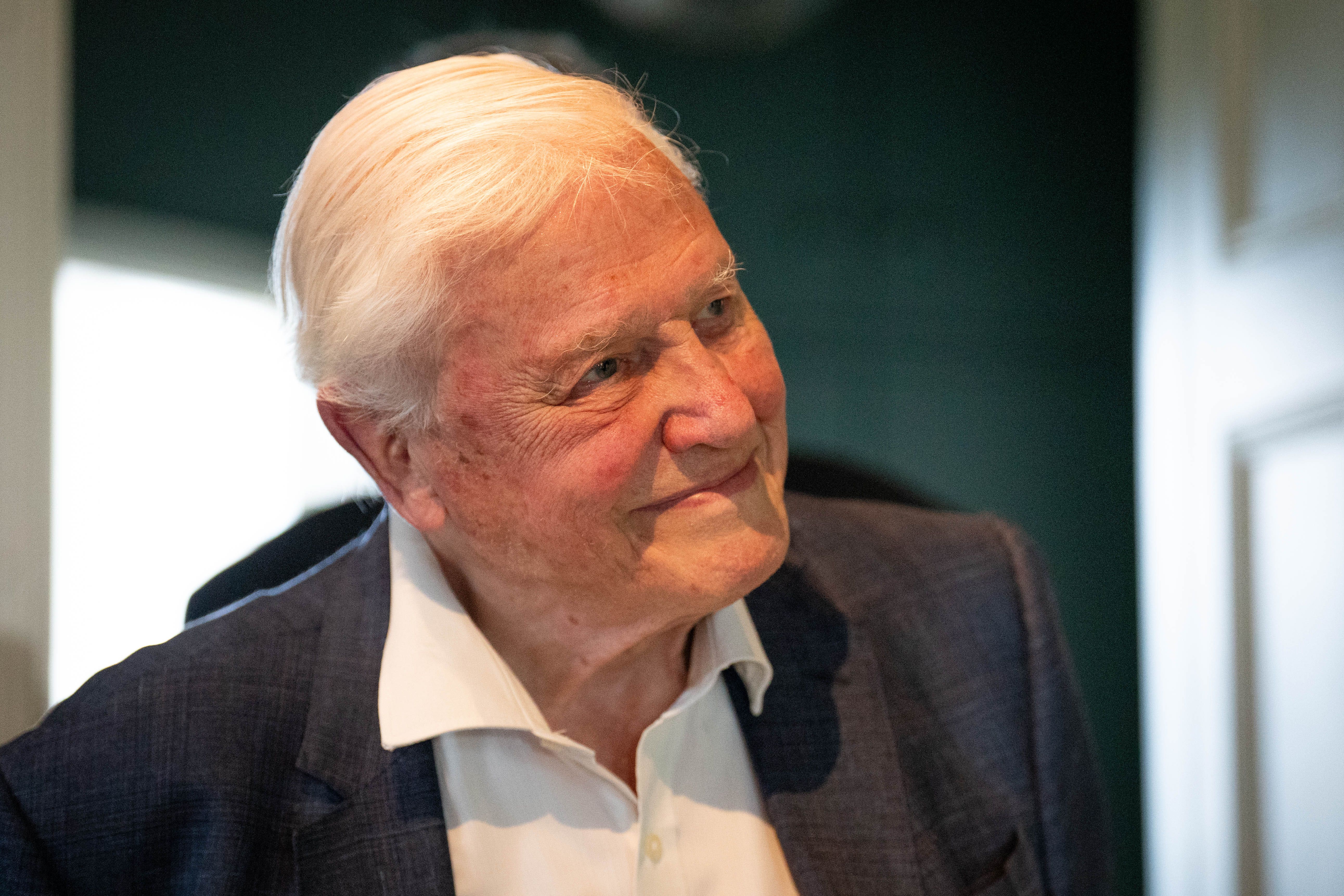 Un evento in diretta sarà trasmesso in TV per celebrare il centenario di Sir David Attenborough