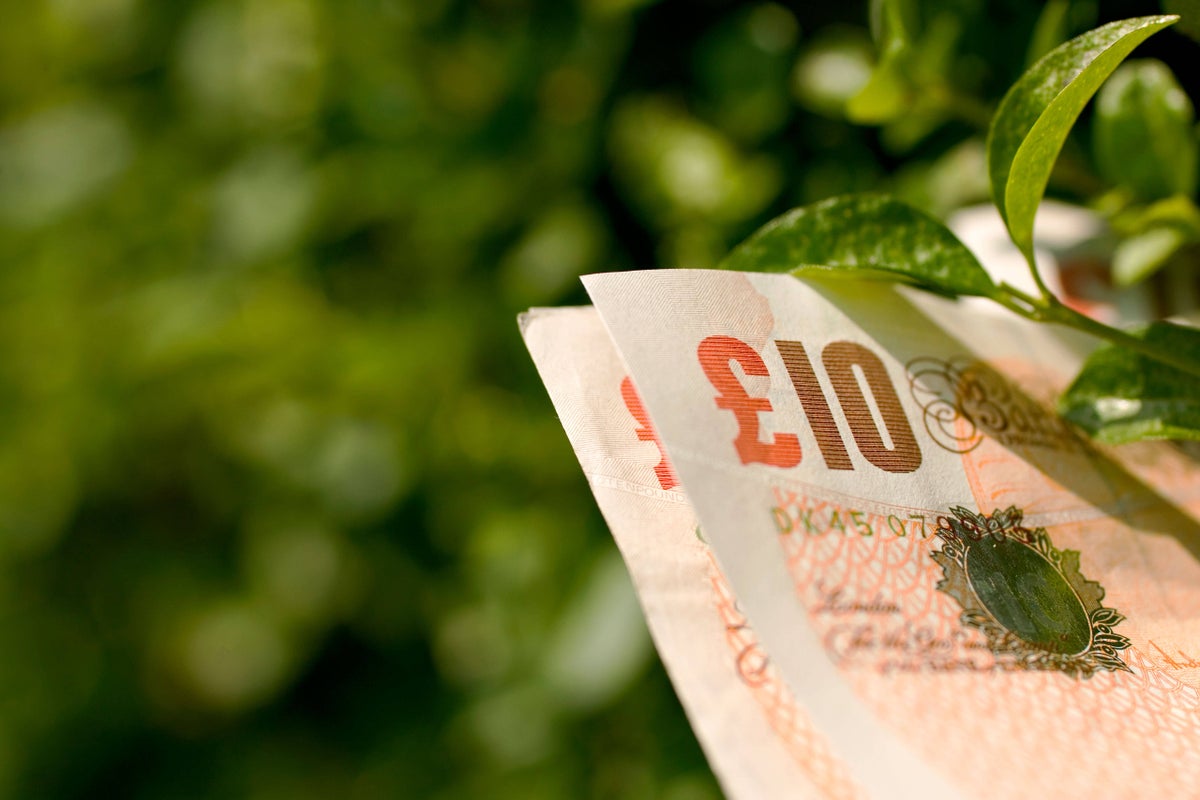 Money-saving tips for the thrifty gardener