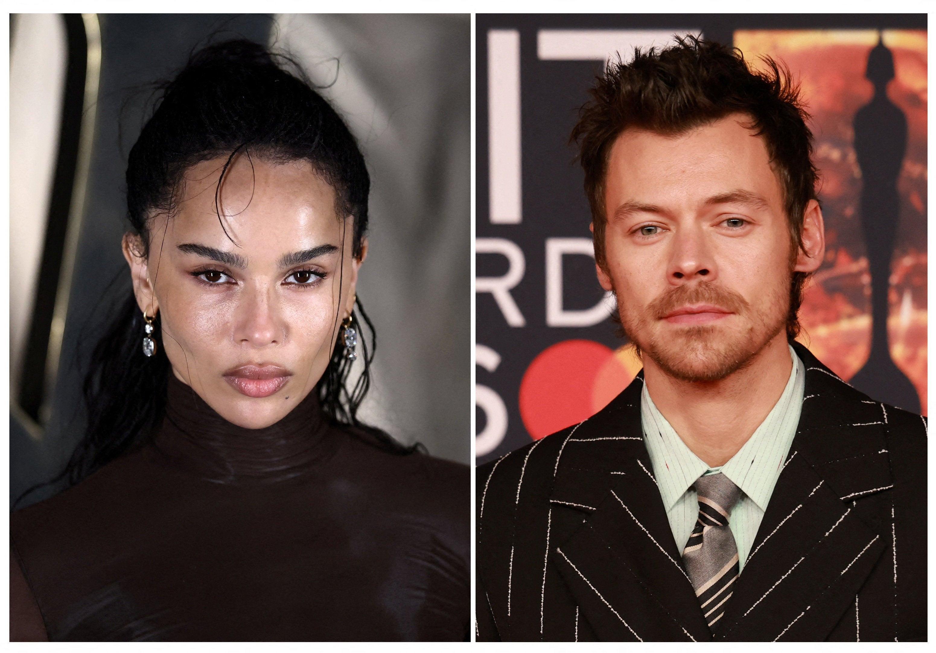 Harry Styles and Zoë Kravitz ‘engaged’ eight months after confirming romance