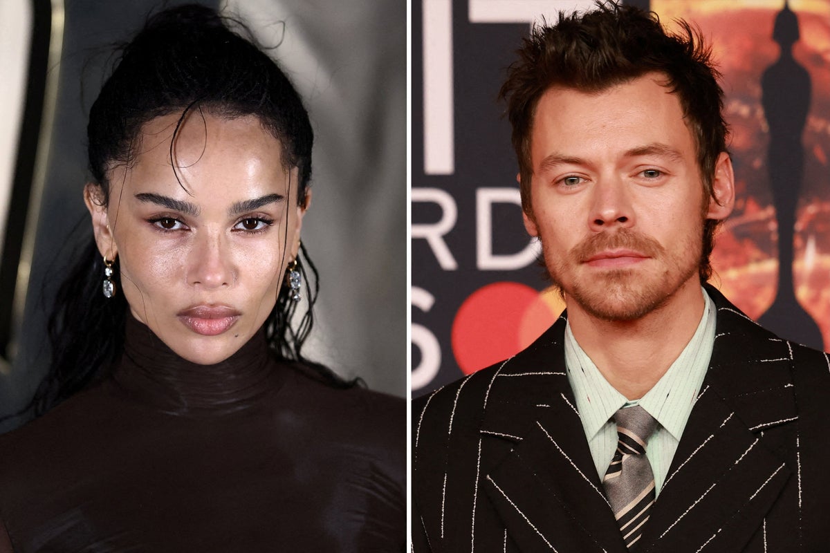 Harry Styles and Zoë Kravitz ‘engaged’ eight months after confirming romance