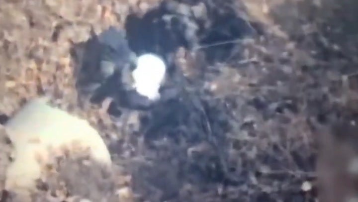 Moment top Mexican cartel leader is captured while hiding in a ditch