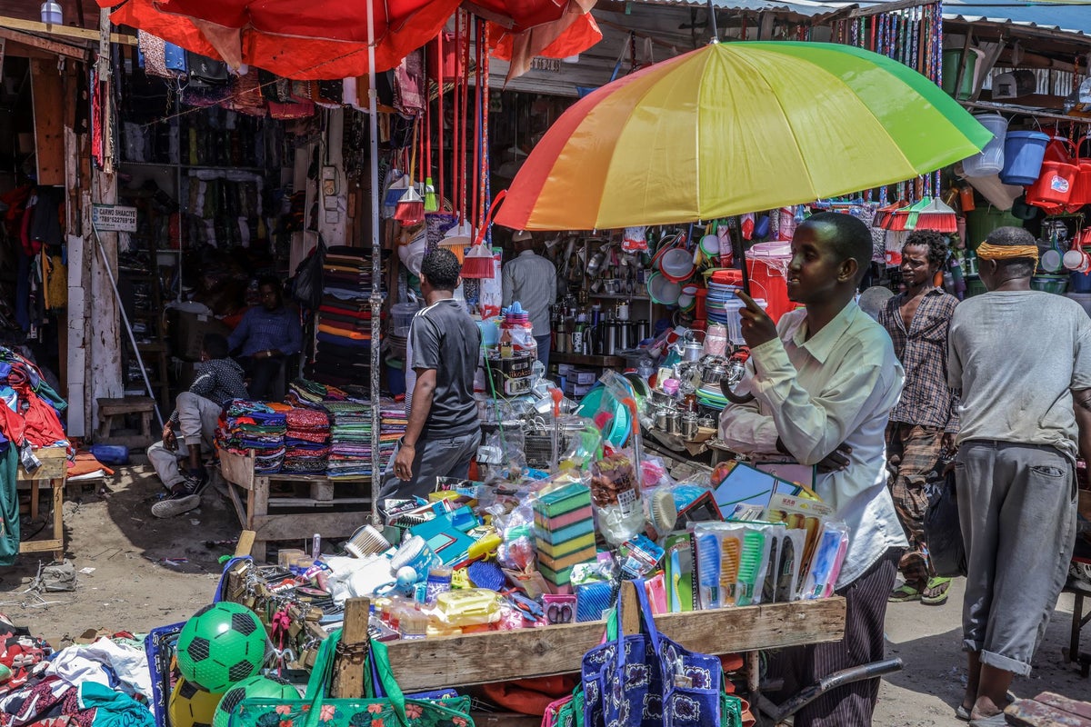 Only we have the power to stop vulture funds taking the world’s poorest countries to court – UK Times Only we have the power to stop vulture funds taking the world’s poorest countries to court – UK Times