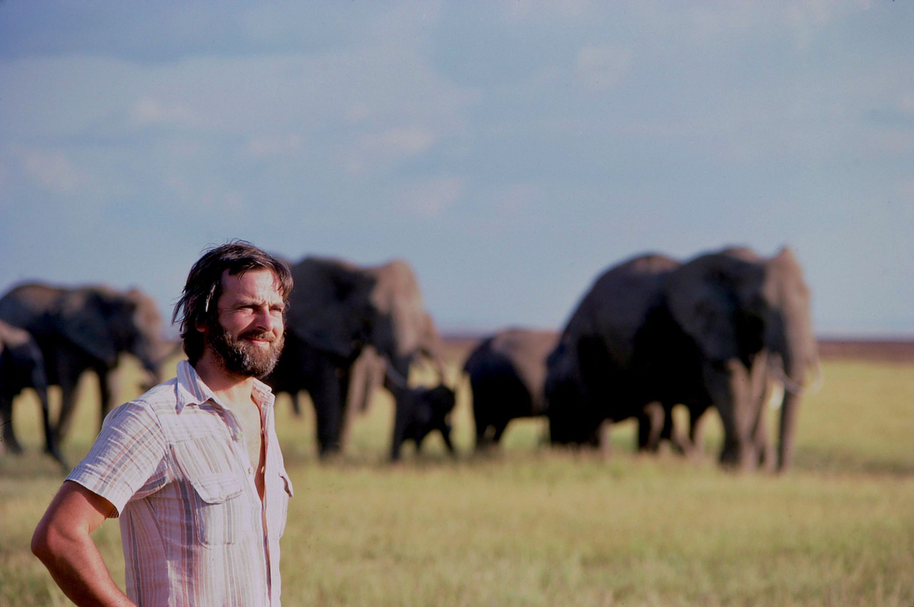 Mike Salisbury - Produtor Assistente, Vida na Terra