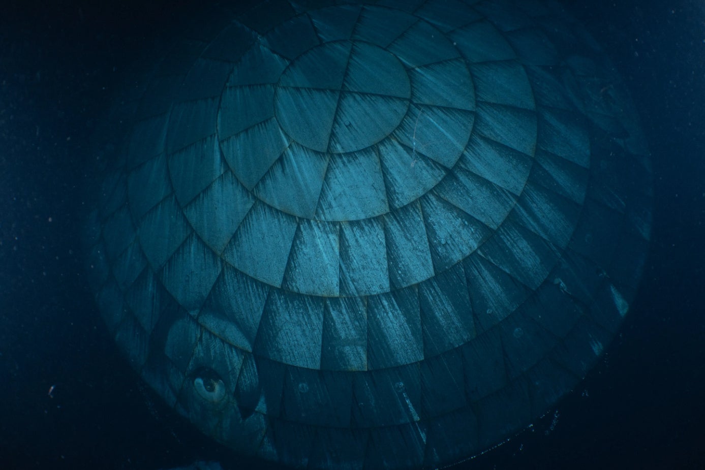 Post image 2